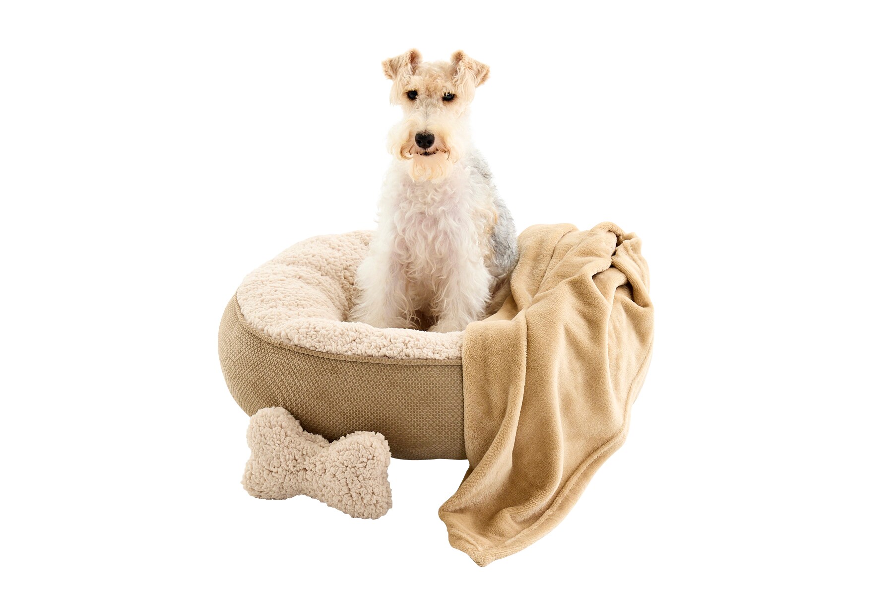 Style Selections FRND255-SMTAN01 Pet-Beds - View #6