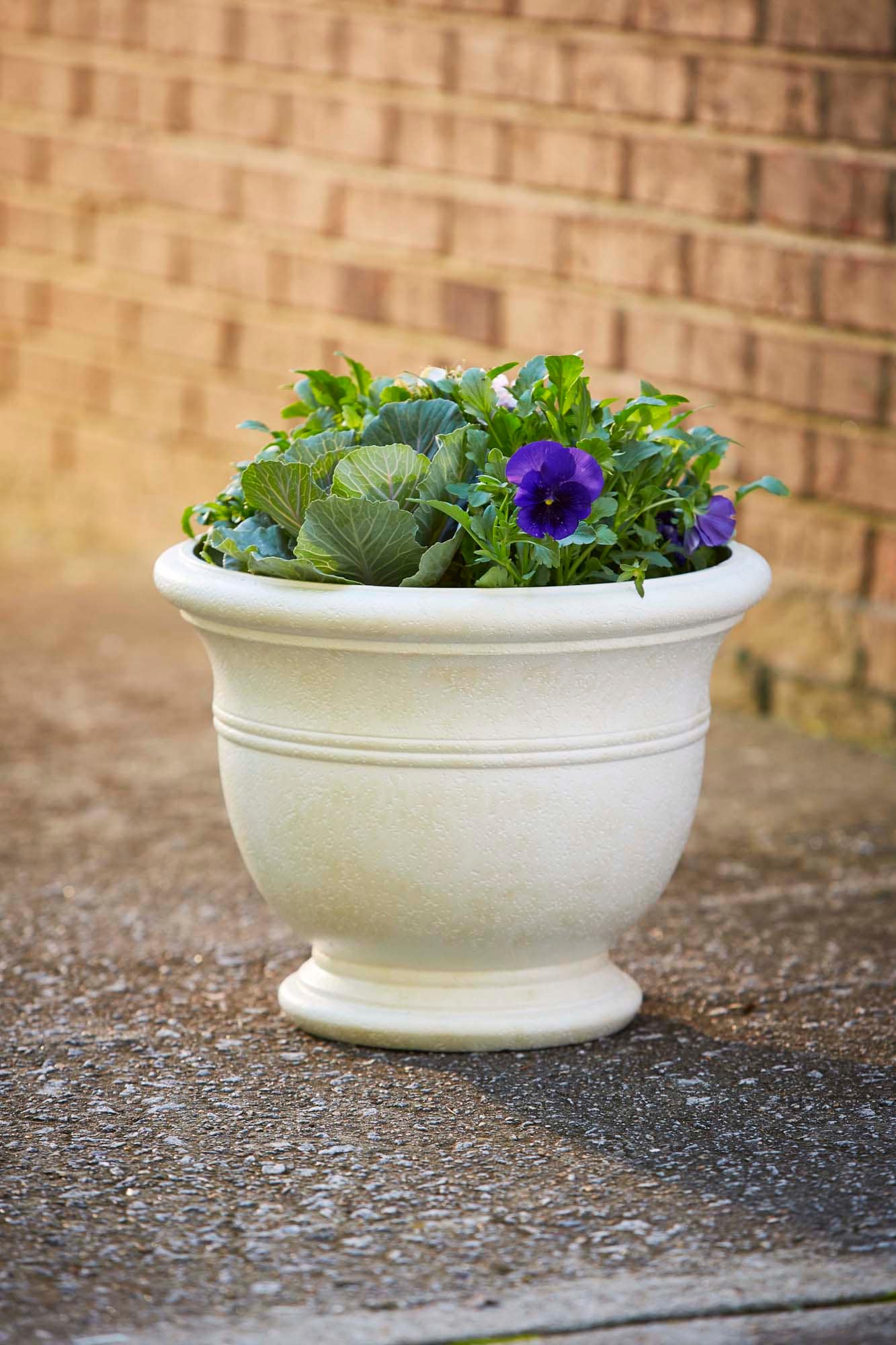 Southern Patio CMX-054696 Round 15-in W Medium White Resin Contemporary/Modern Indoor Planter with Drainage Holes