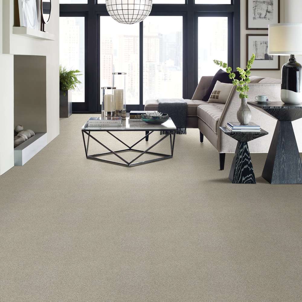 STAINMASTER 7L790-320-SAMP Carpet-Samples - View #3