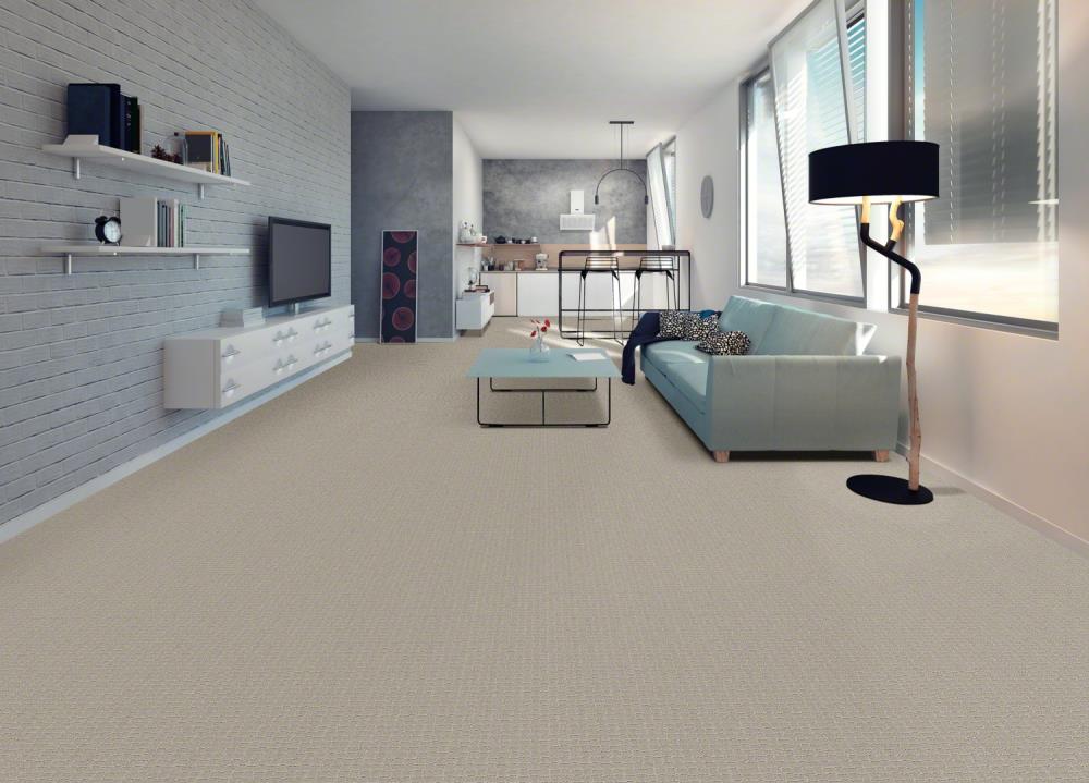STAINMASTER 7L77300511 Carpet-Panel - View #2