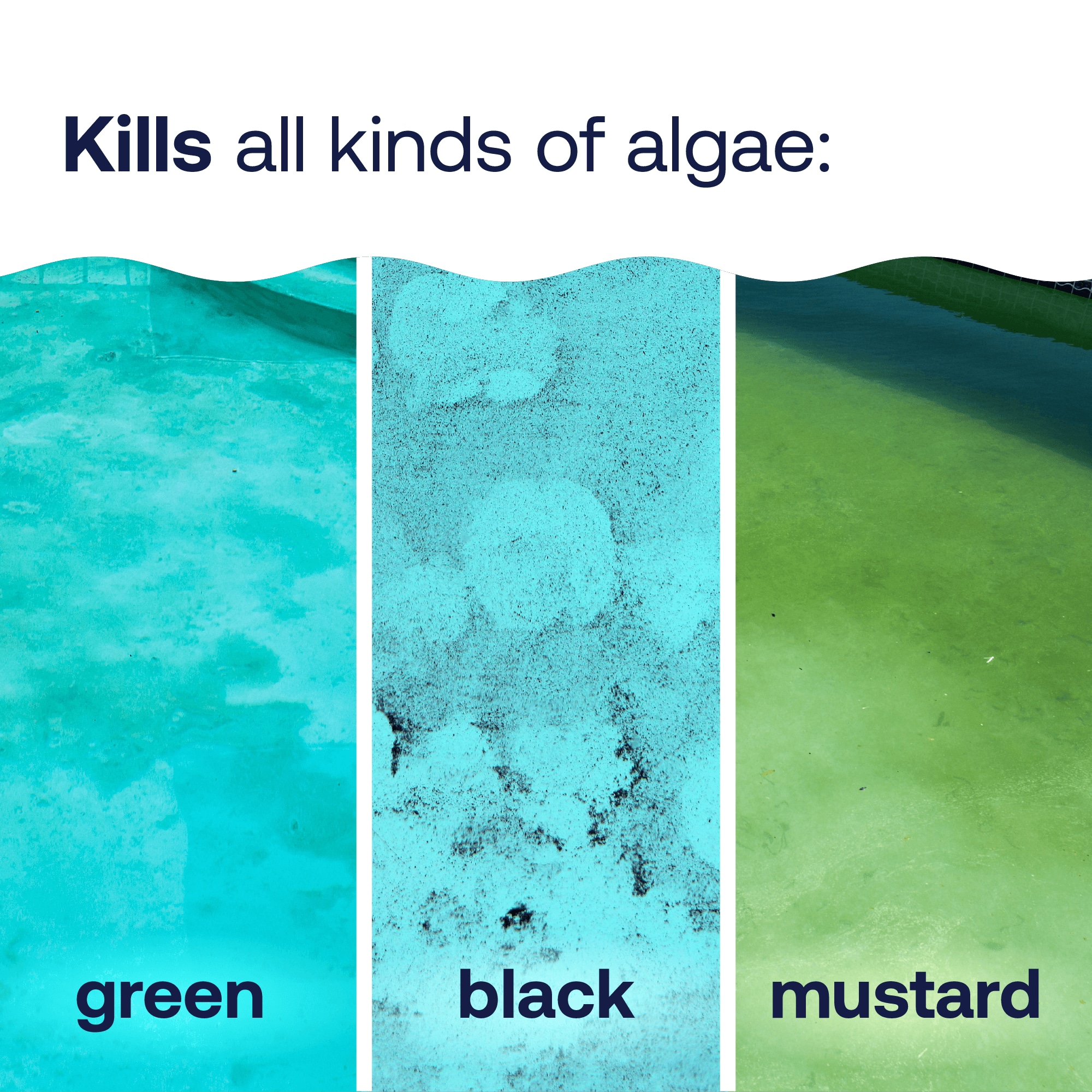 HTH 67243 Pool-Algae-Control - View #2