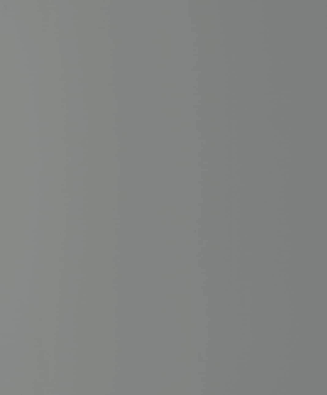 James Hardie 9510351 Statement Collection HZ10 Straight Fiber Cement Smooth Panel siding Gray Slate 48-in x 120-in