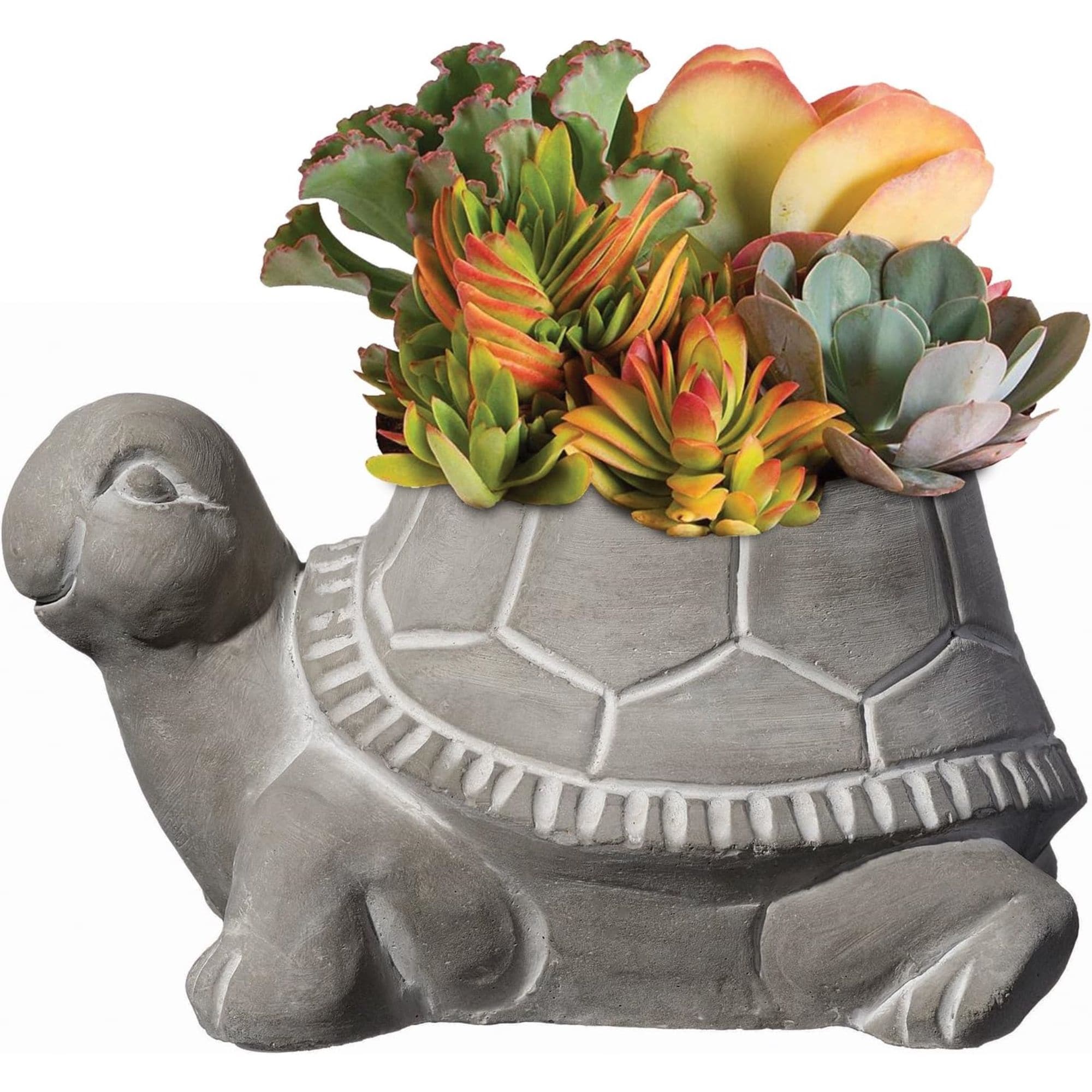 Classic Home & Garden 810021101255 Planter-Window-Box - View #3
