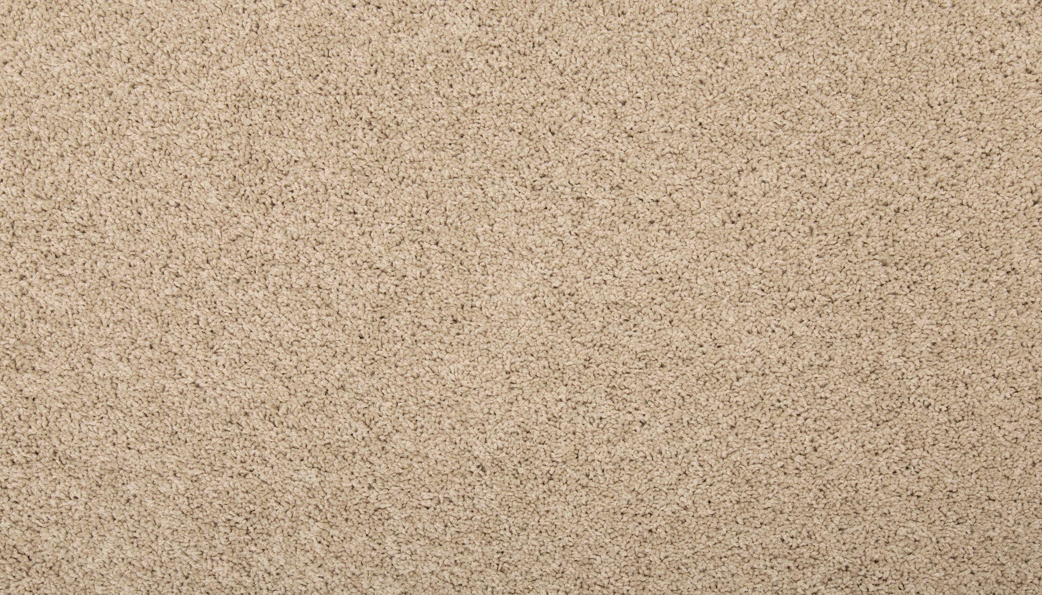 STAINMASTER SS011-L004-0808 (Sample) Memorable Touch I Sugar Cookie Brown 35-oz sq yard Solution-dyed polyester Textured Indoor Carpet