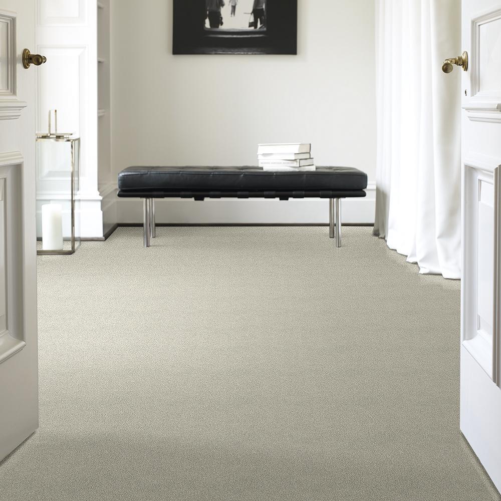 STAINMASTER C707400005  - View #2