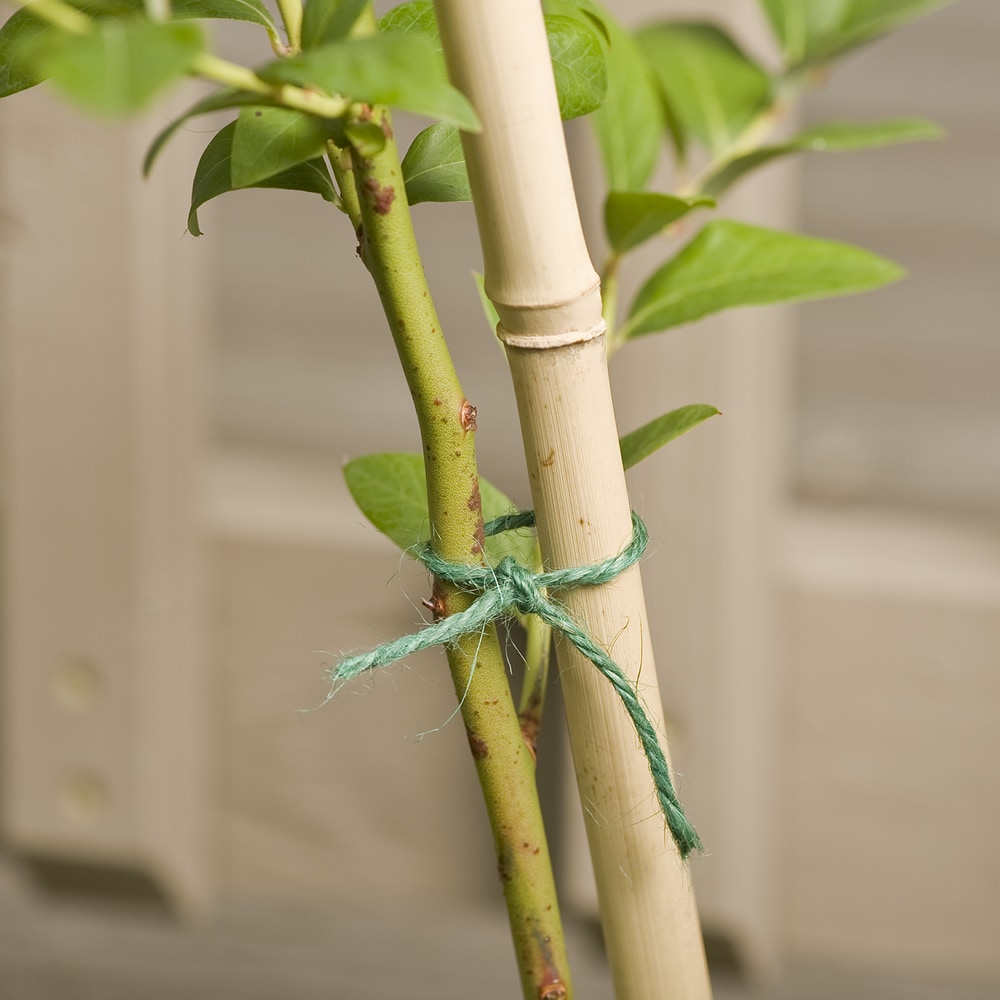 Green Red Garden Twine String Soft Stretchy Plants Support - Temu