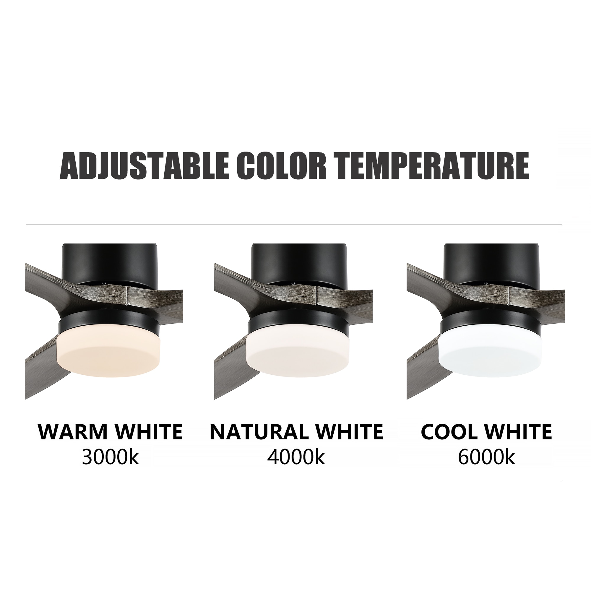 GETLEDEL CF-3801BN Ceiling-Fans - View #5