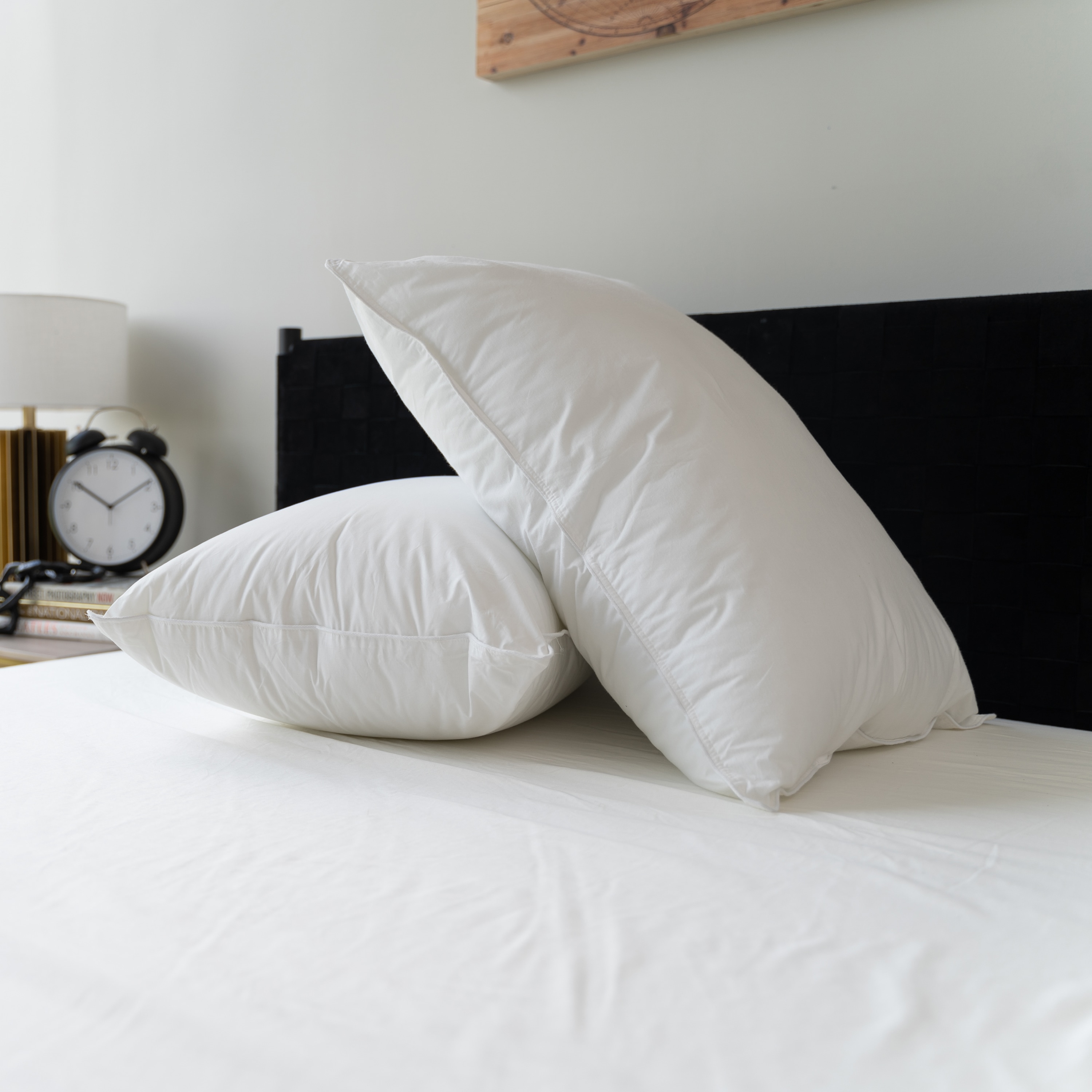 Sealy 84512ATC Bed-Pillows - View #2