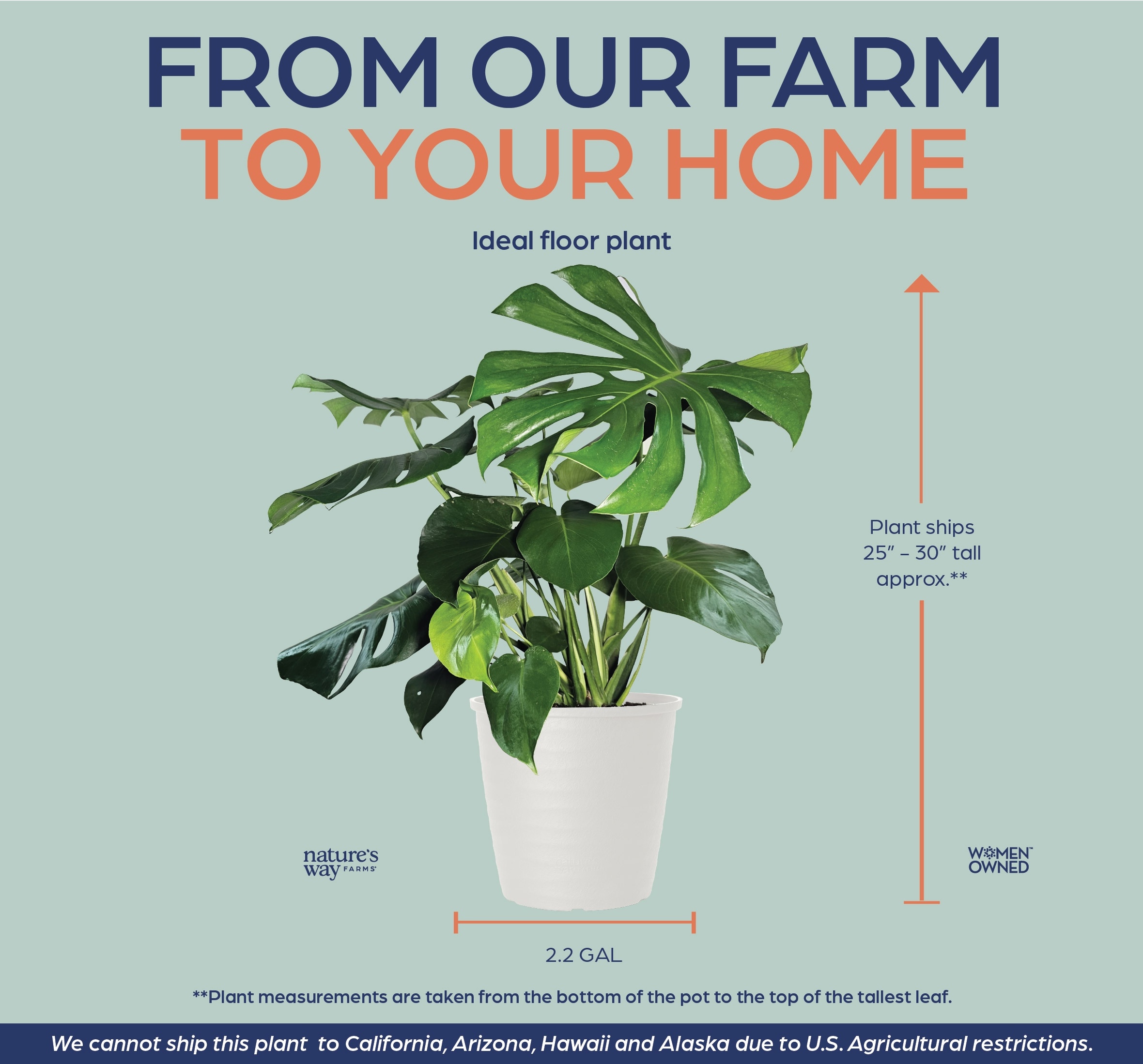 Nature's Way Farms 6021620 perennials - View #5