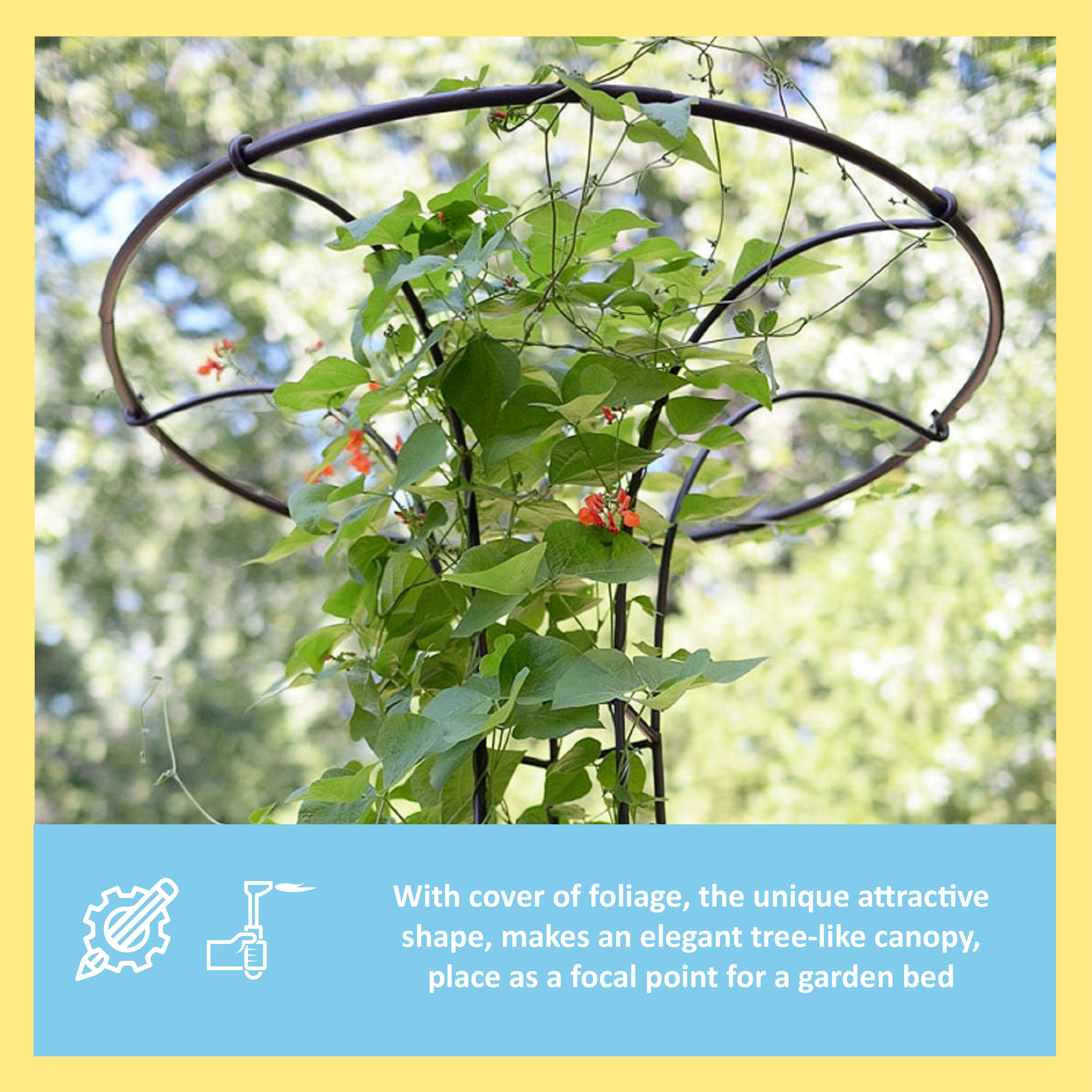 Roman Bronze 72-Inch Wrought Iron Trellis with Canopy