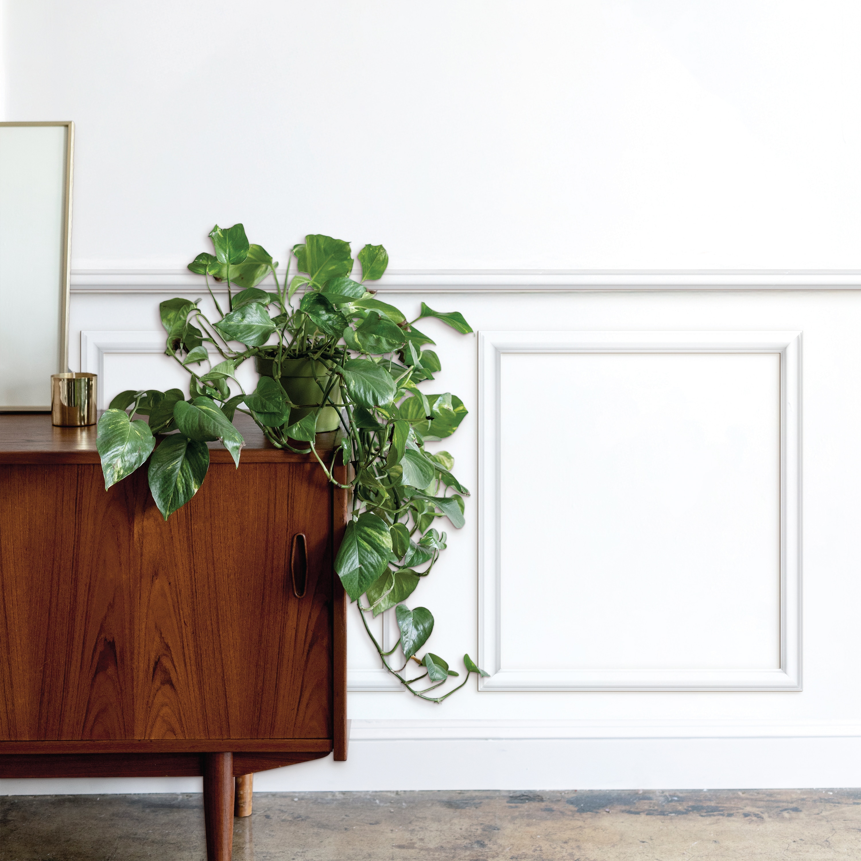 BUILD and BATTEN Full Wall Panel 18-in x 20-in Finished Polystyrene Preassembled Picture Frame Moulding #58518