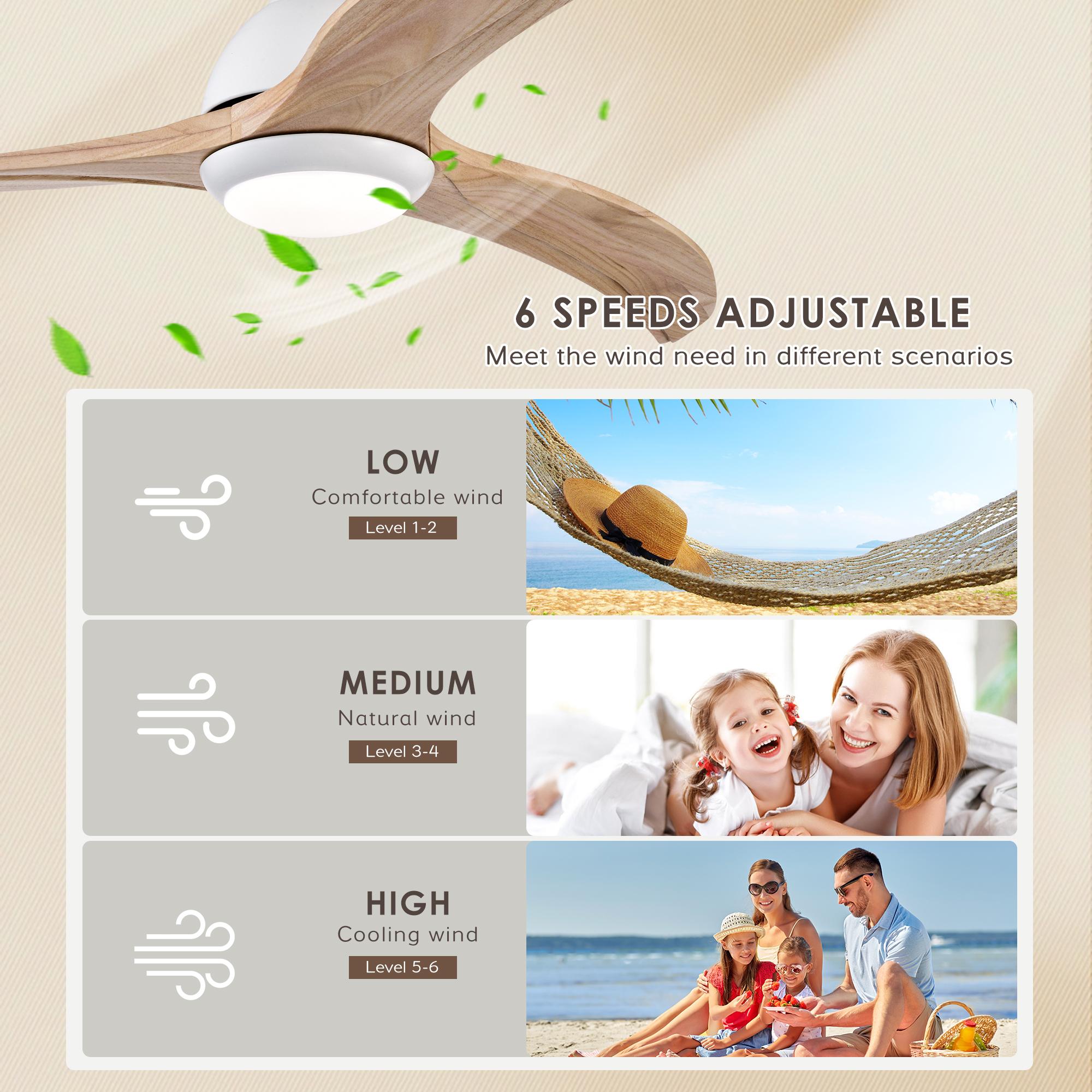 Bayfeve BFHM-76976-CF Ceiling-Fans - View #7