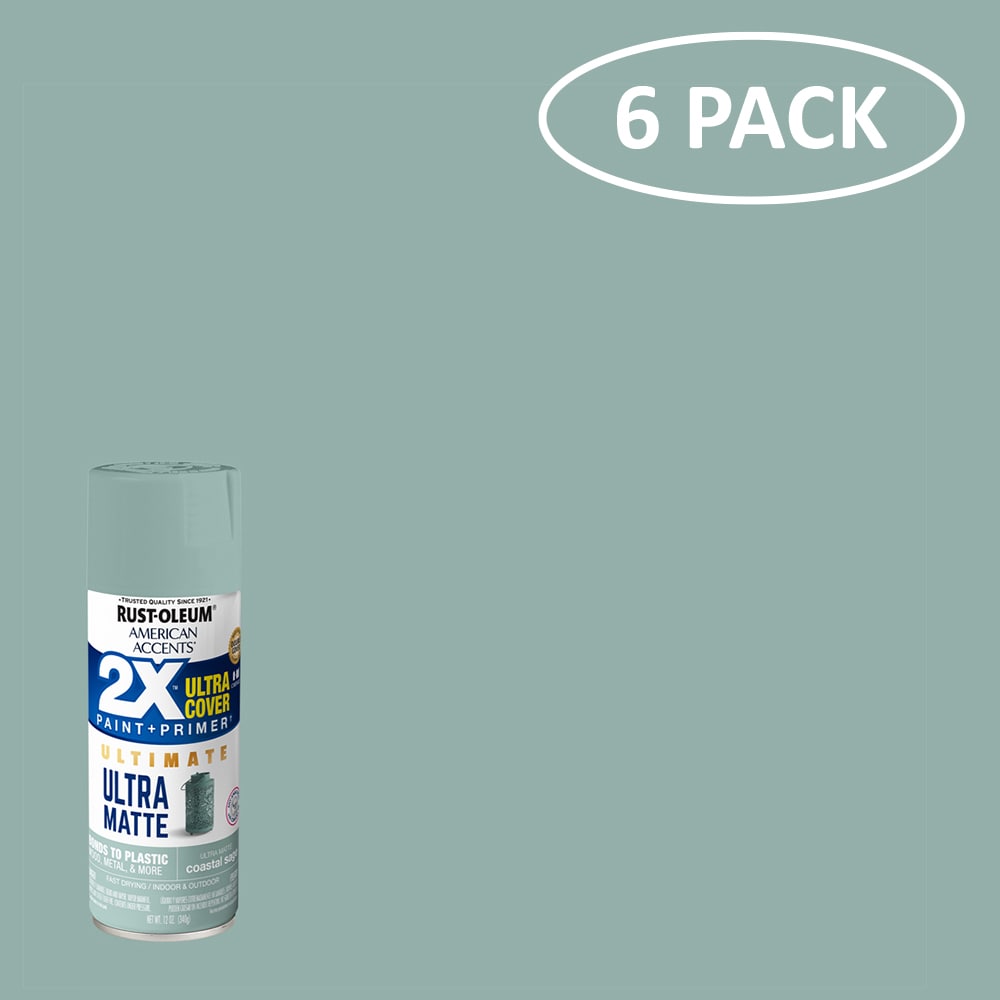 Rust-Oleum 344684SOS American Accents 2X 6 -Pack Matte Coastal Sage Spray paint and primer in one ( NET WT. 12-oz )