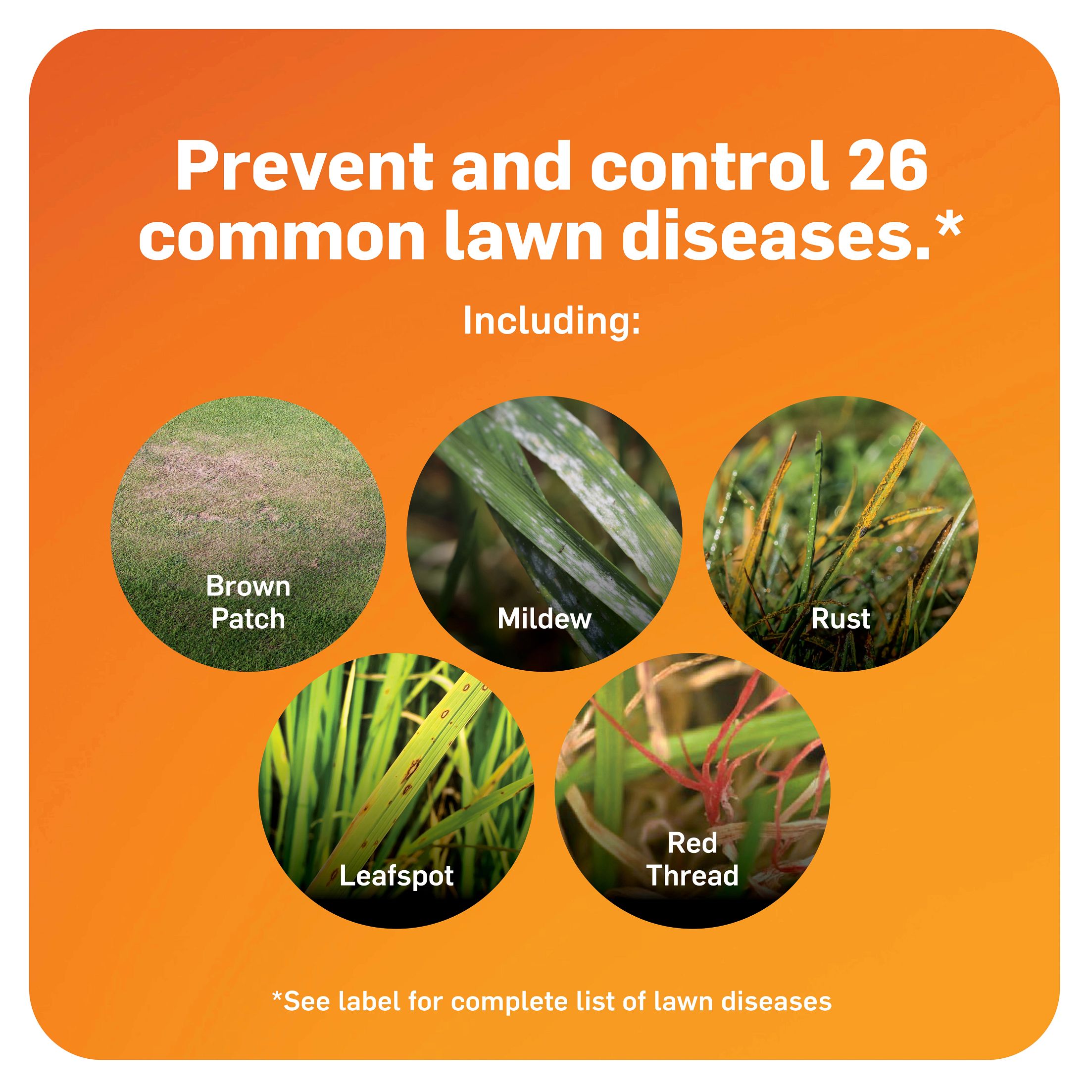 Scotts 37610C Moss-Algae-Fungus-Control - View #4