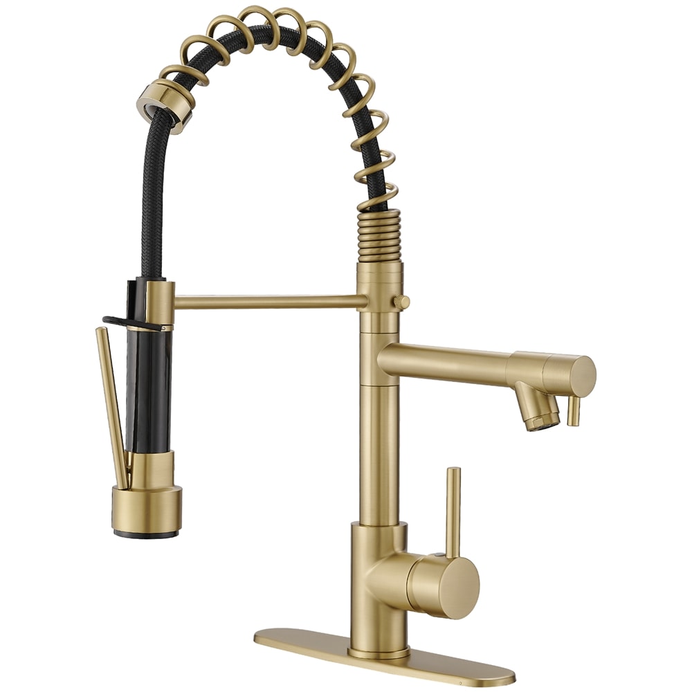 BWE Brushed Gold Single Handle Filtered Pull-down Kitchen Faucet (Deck ...