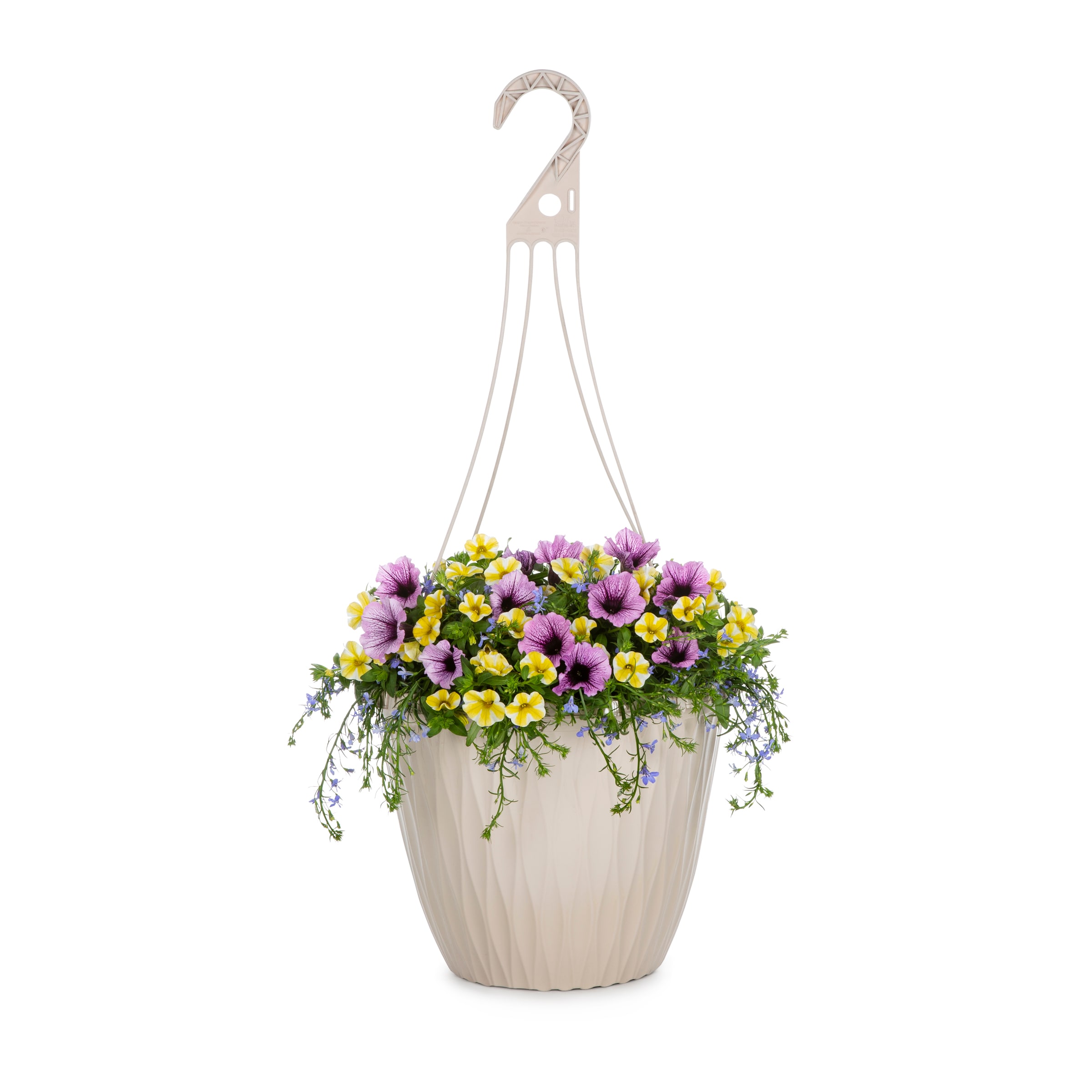 Lowe's Multicolor Bahama Beach in 2.5-Gallons Hanging Basket in the ...