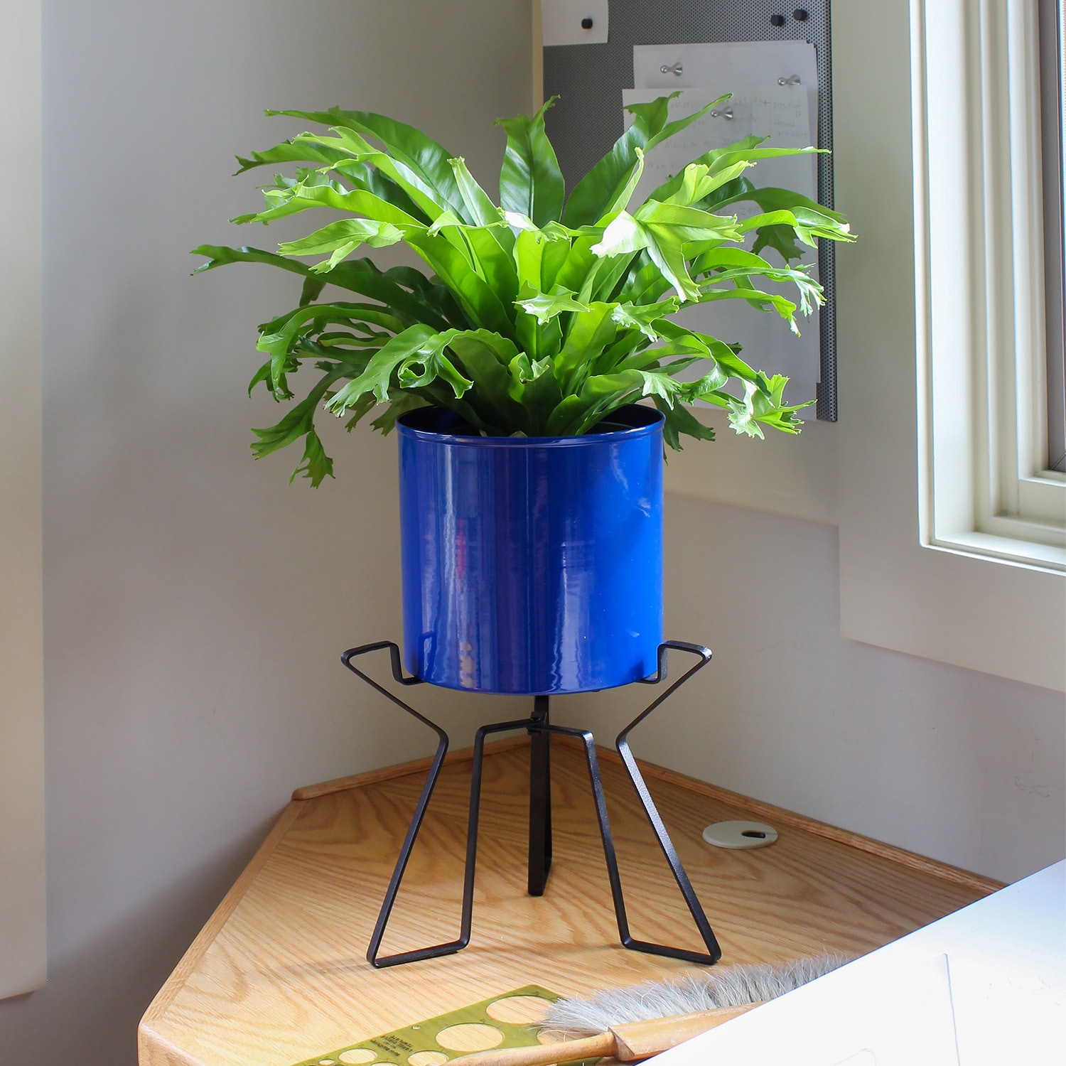French Blue Galvanized Steel Planter with Black Wrought Iron Stand