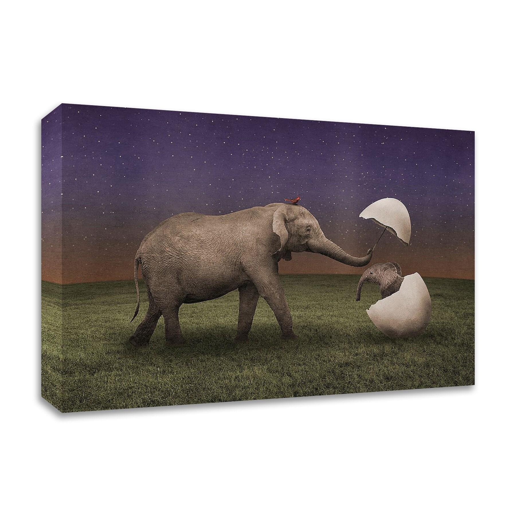 Tangletown Fine Art 8N354DC-4530 Into The World Greg Noblin 30-in H x 45-in W Animals Print on Canvas
