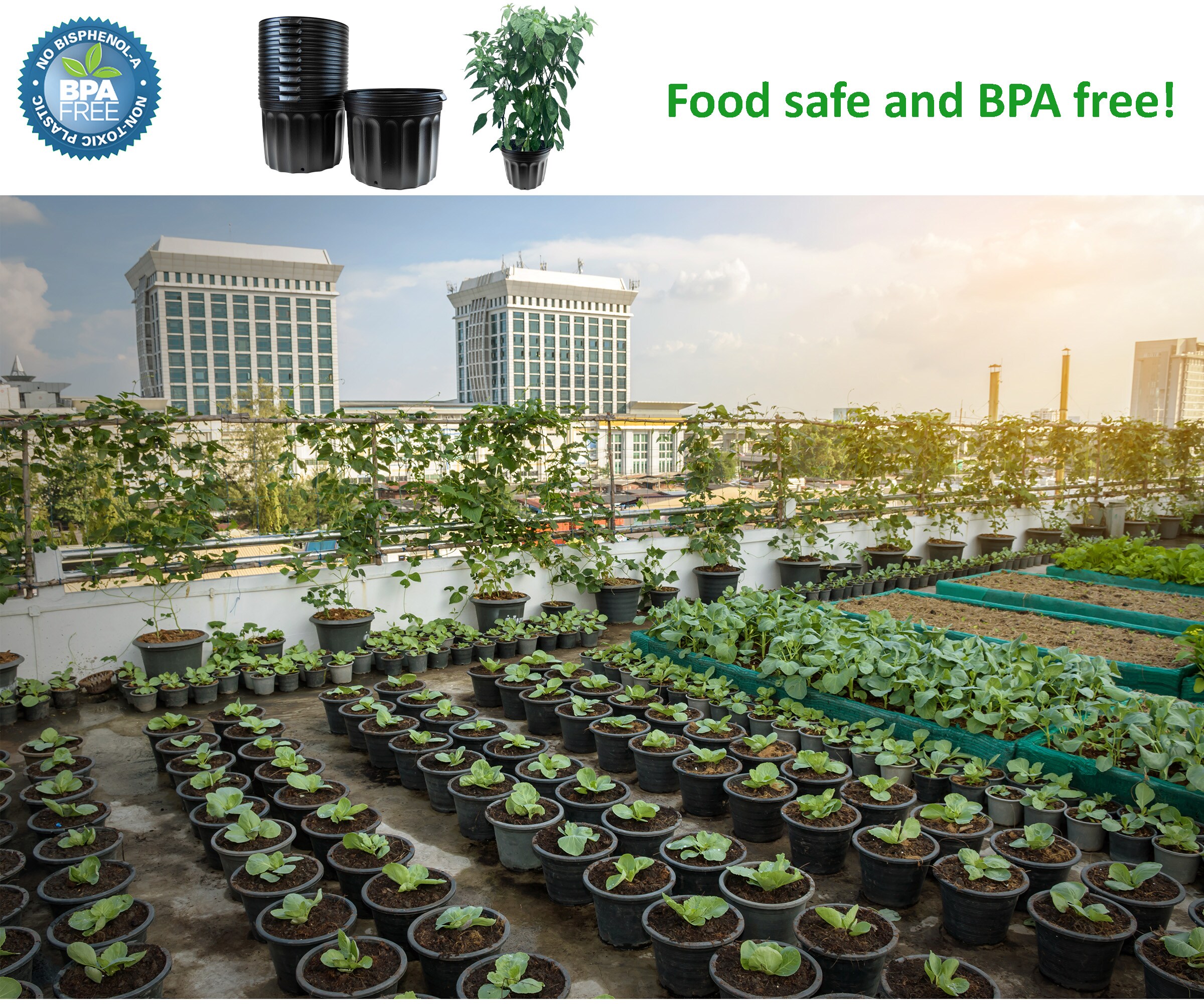 Medium Black BPA-Free Plastic Round Nursery Pots, 24-Pack