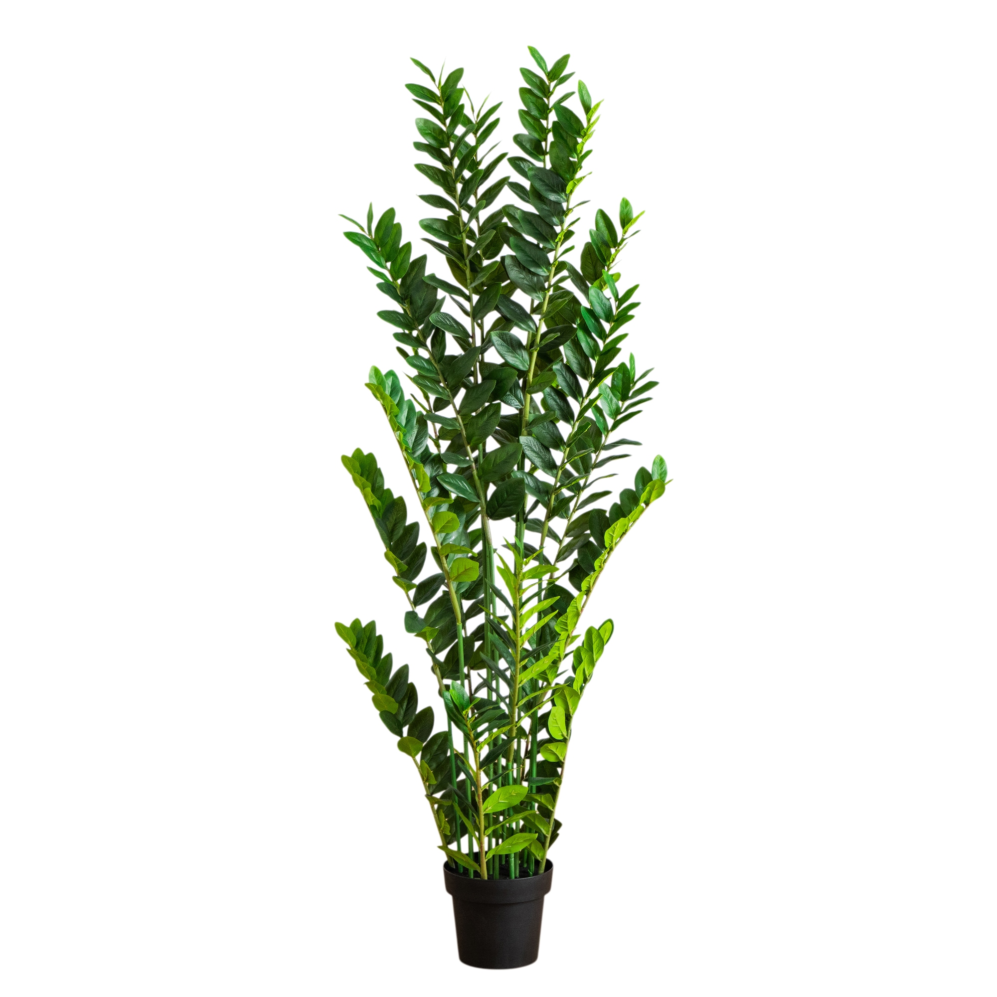  5-ft Artificial Zamioculcas Plant