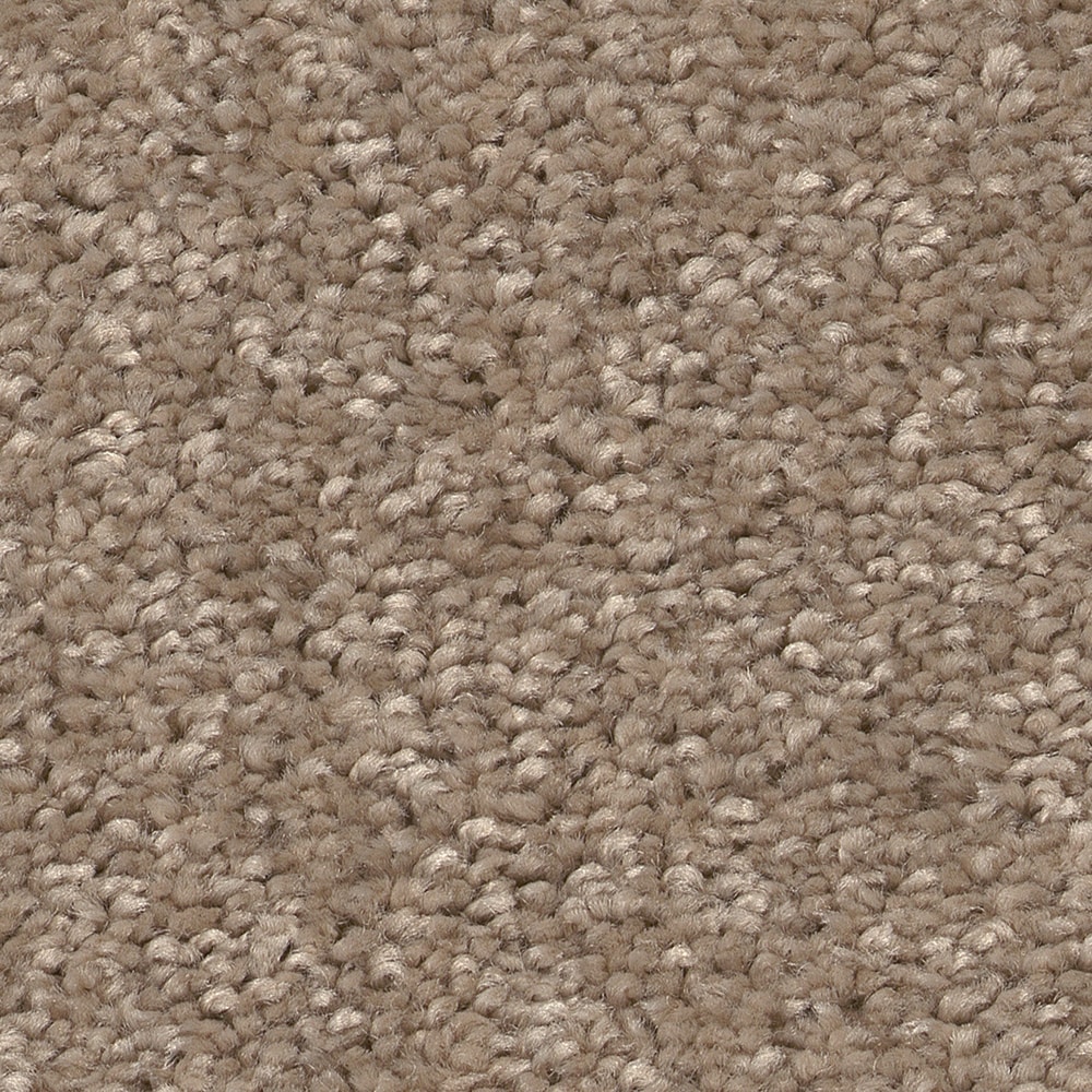 Style Selections 7L84600201 Dialed In I Warm Wood Brown 25-oz sq yard Polyester Textured Indoor Carpet