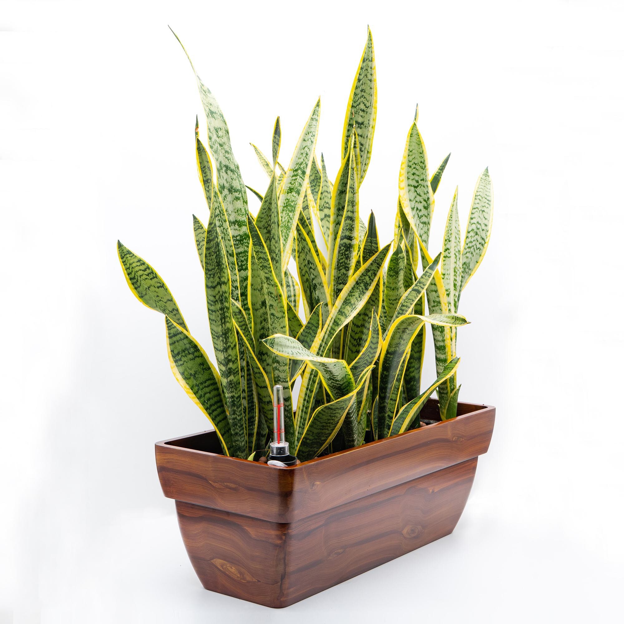 Miki Shinly JJ-4636-18DTY Planter-Window-Box - View #5