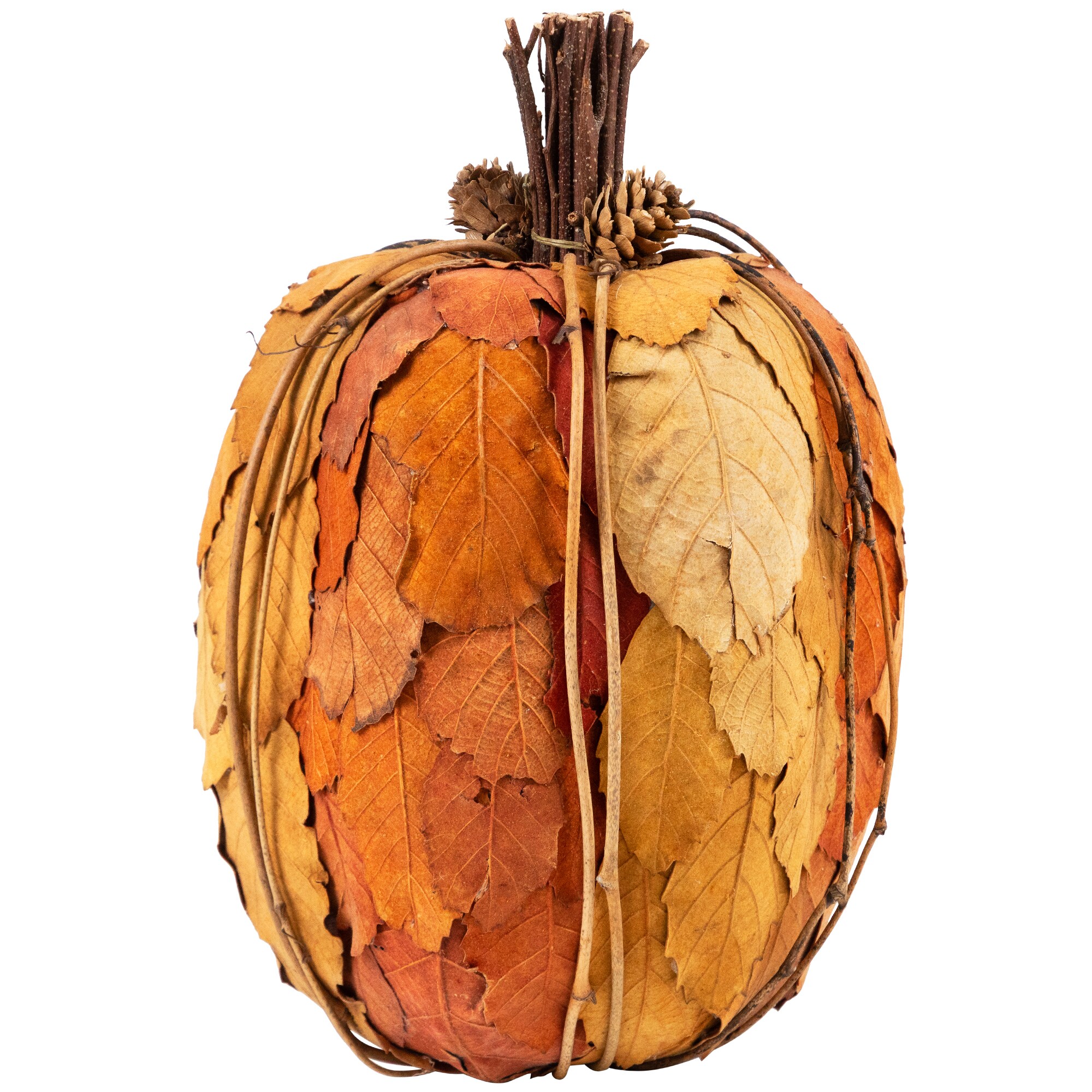 Northlight 34314371 Indoor-Thanksgiving-Decor - View #3