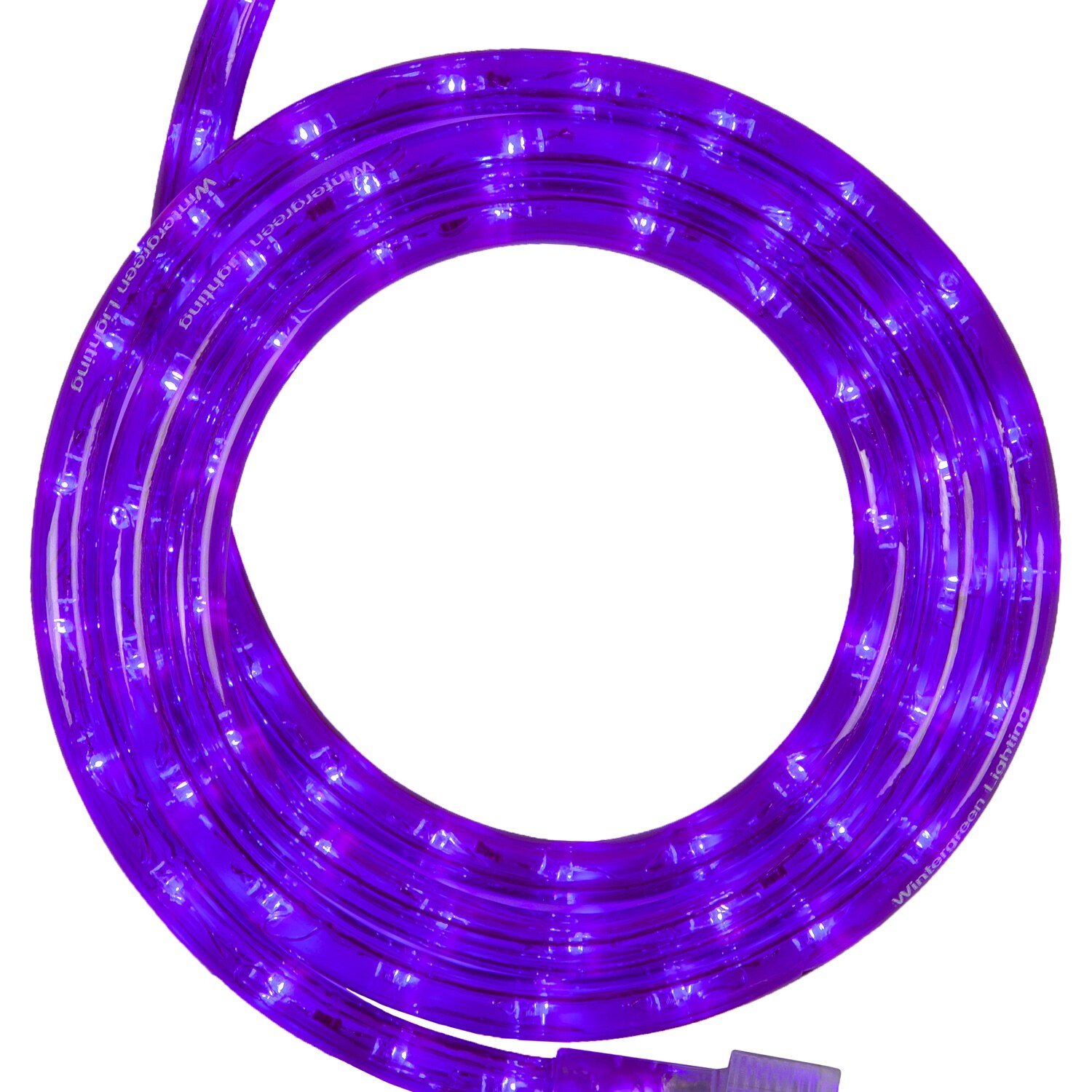 Wintergreen Lighting 80352 216 -Light 18-ft Purple Integrated LED Christmas Rope lights