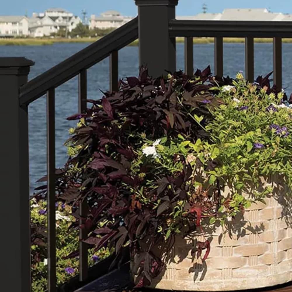 Trex BK0836SRKFS railings - View #5