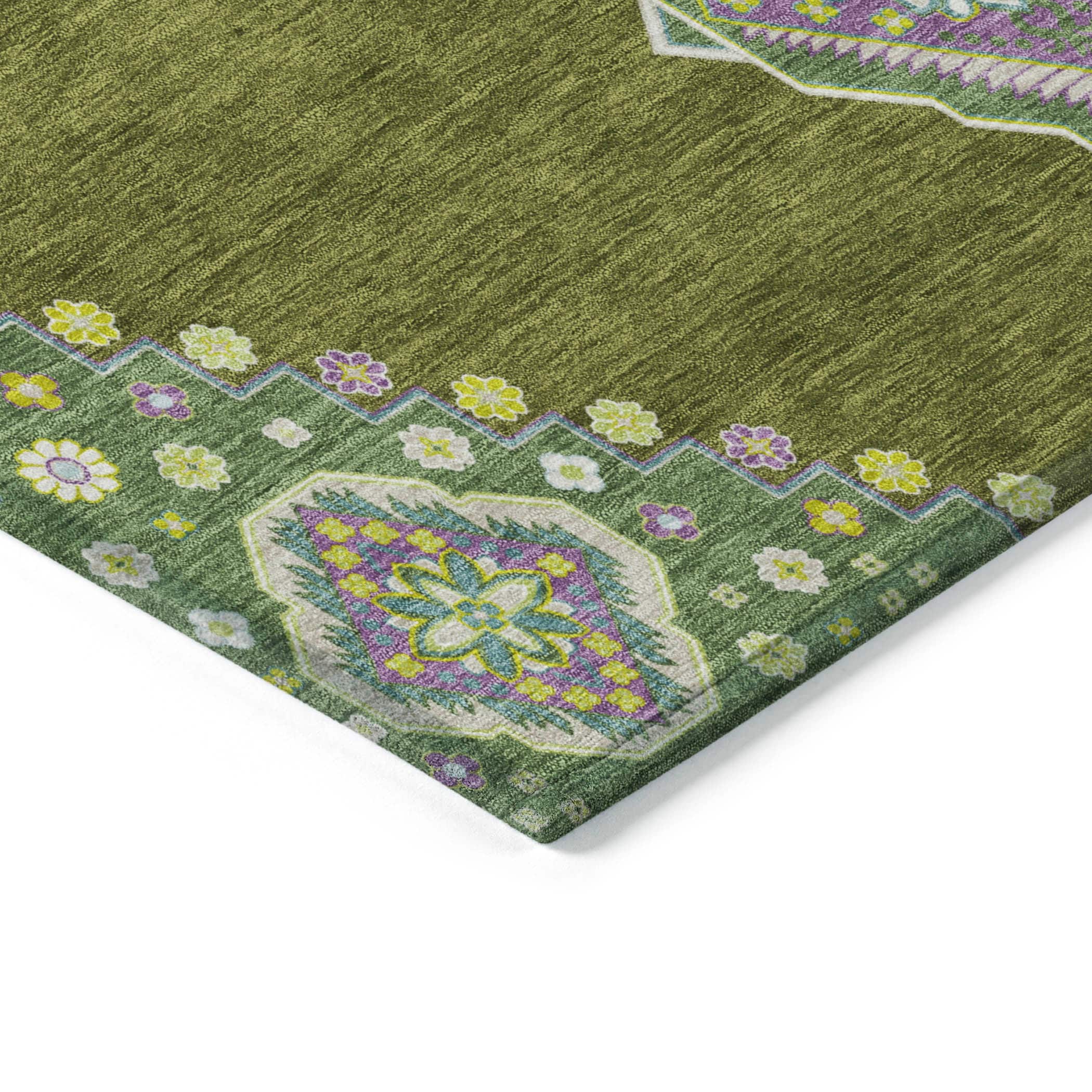 Addison Rugs ACN1014OL30X46 rugs - View #4