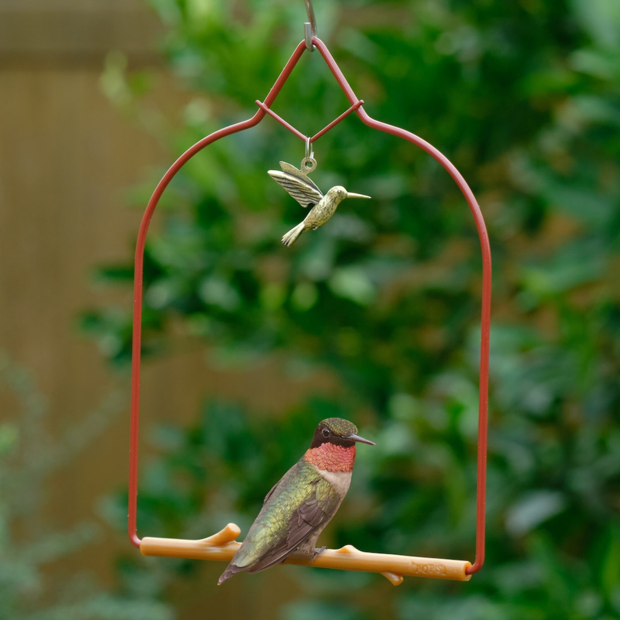 Pop's Birding CHRD-BBBR Bird-Feeder-Accessories - View #3