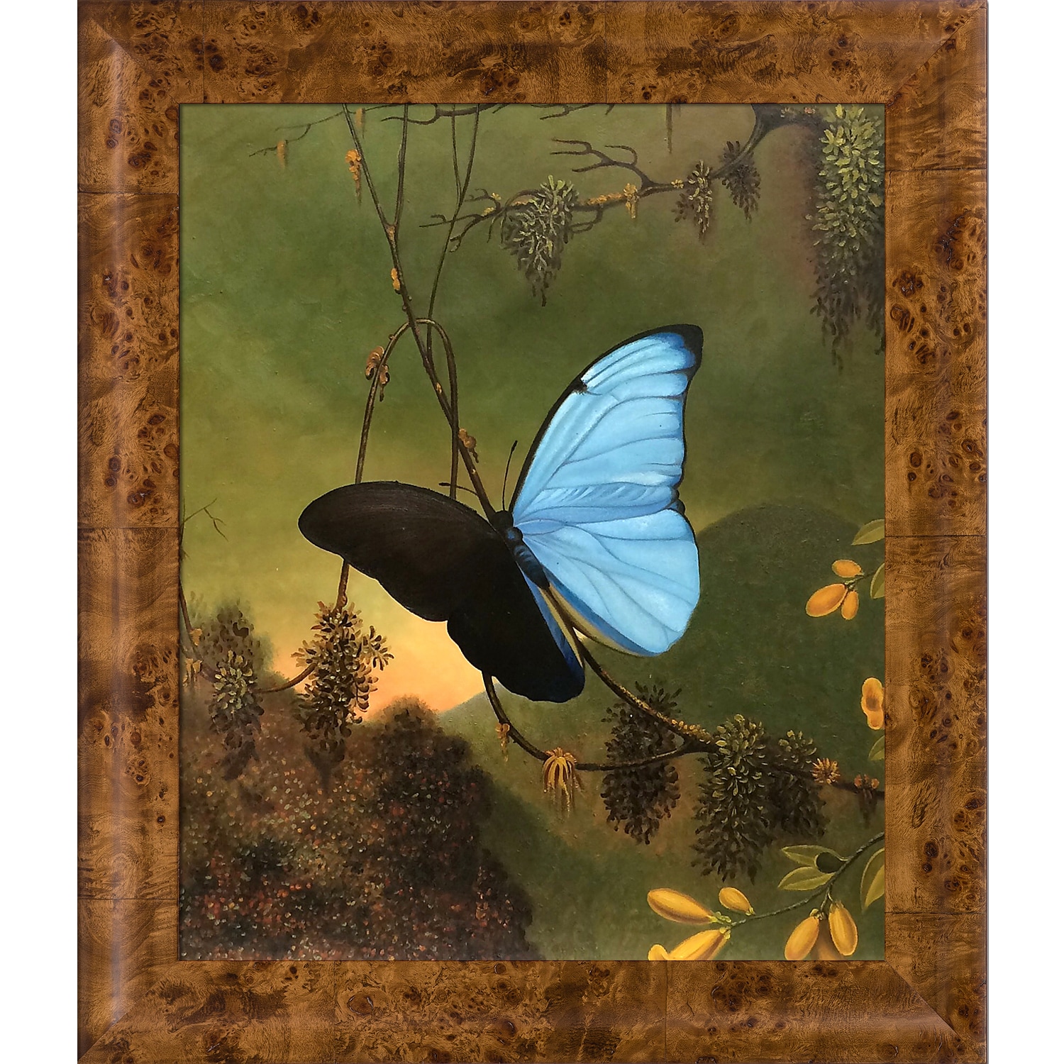 La Pastiche Blue Morpho Butterfly Martin Johnson Heade Framed 25.75-in ...