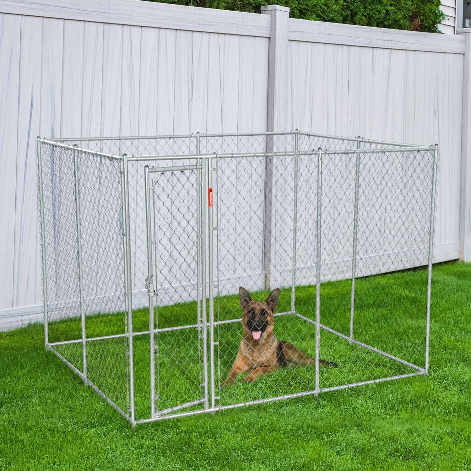 Lucky Dog Any Pet Wire Dog Kennel Outdoor (10-ft L x 5-ft W x 6-ft H ...