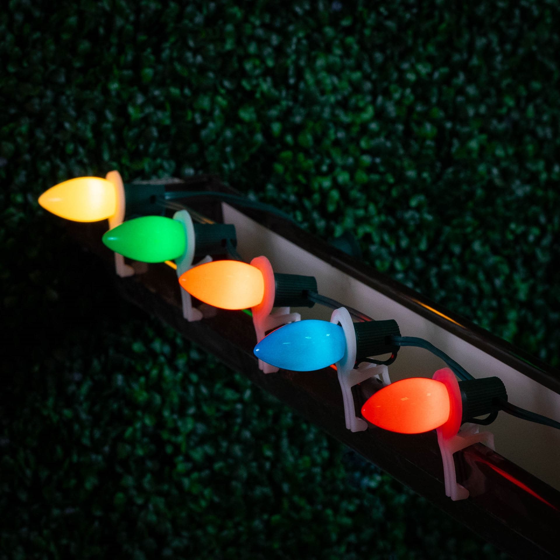 Novelty Lights FC9SET-LED-BK-CR-MU Patio-String-Lights - View #5