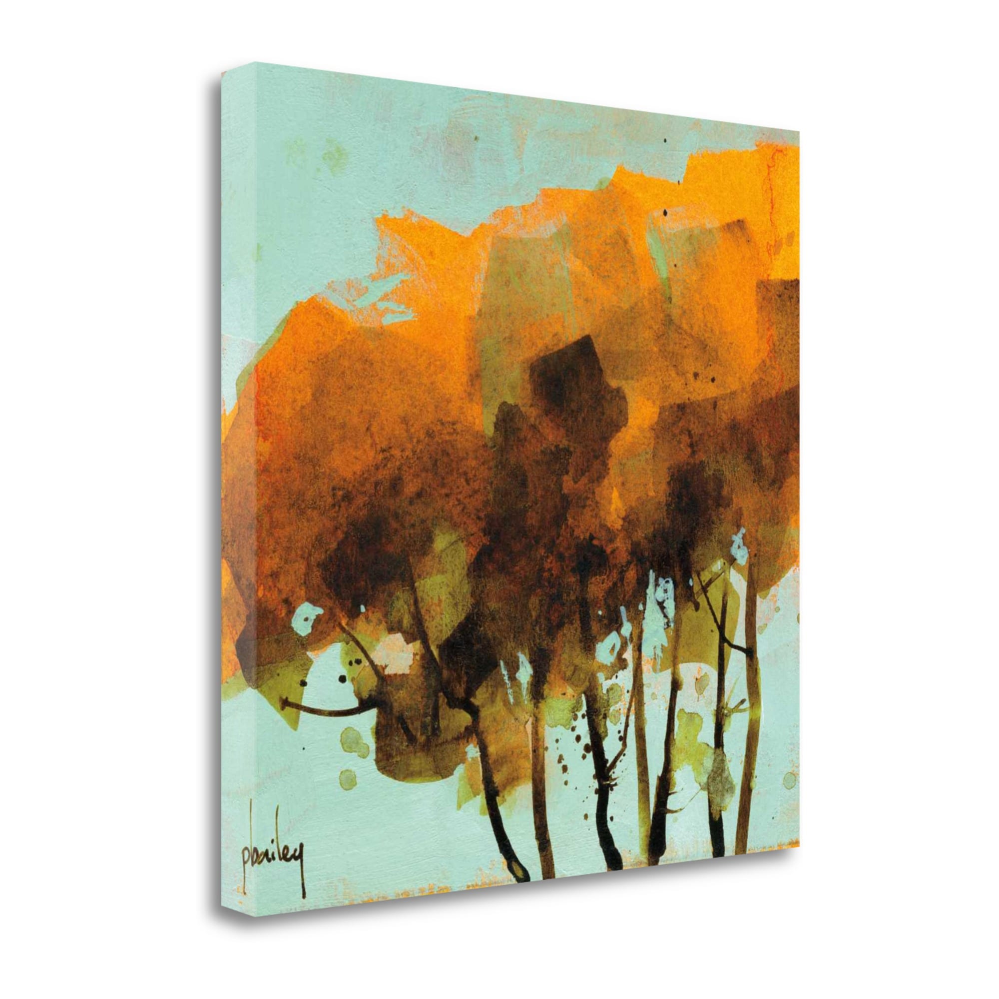 Tangletown Fine Art 35-in H x 35-in W Landscape Print on Canvas in the ...