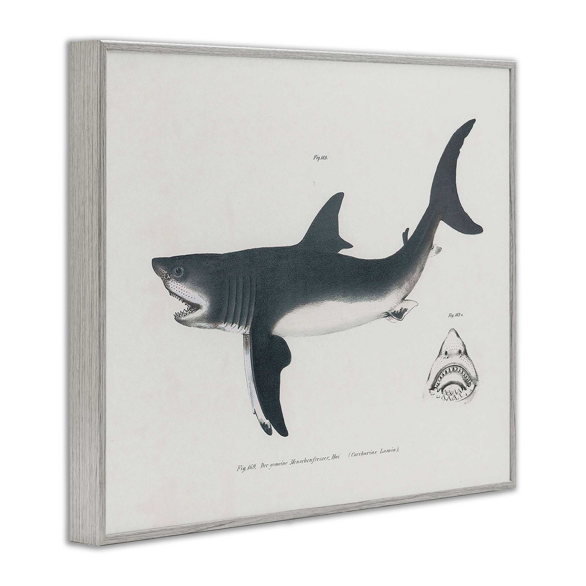 Stupell Industries BT-457-GFF-11X14 Wall-Art - View #2