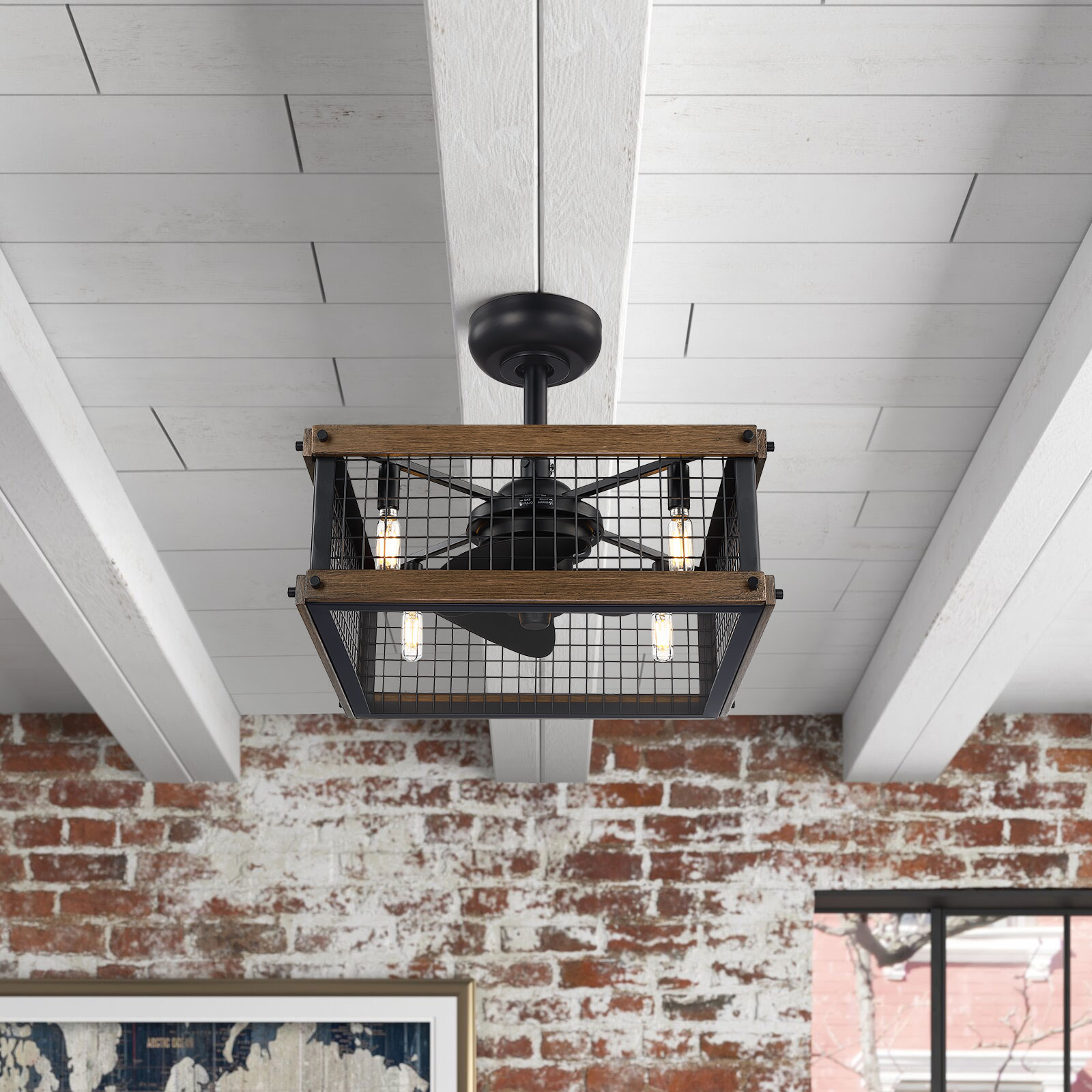 C Cattleya FAN-CL-0003 Ceiling-Fans - View #6