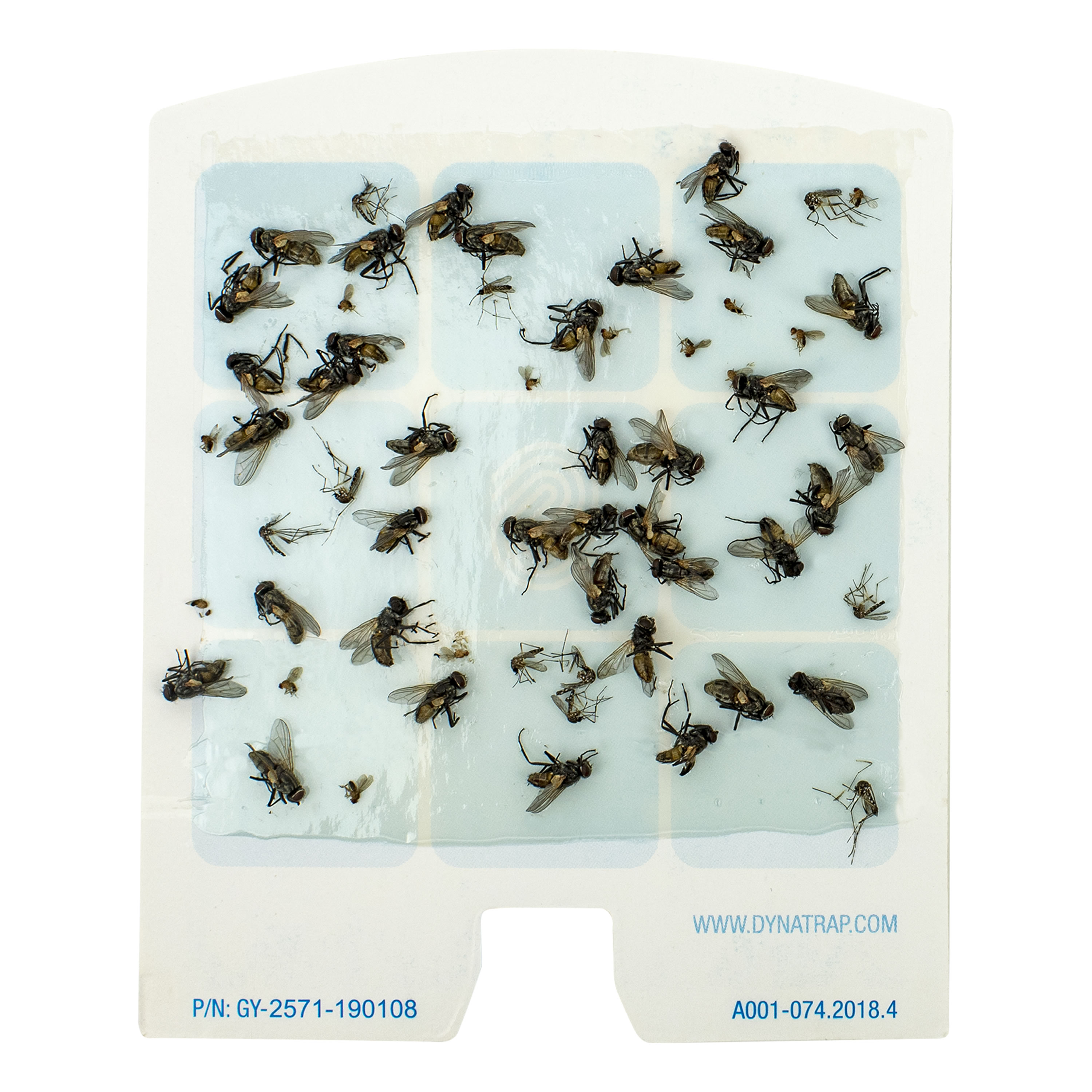 Replacement Glue Plates for Flying Insect Trap VF01 - Pack of 10