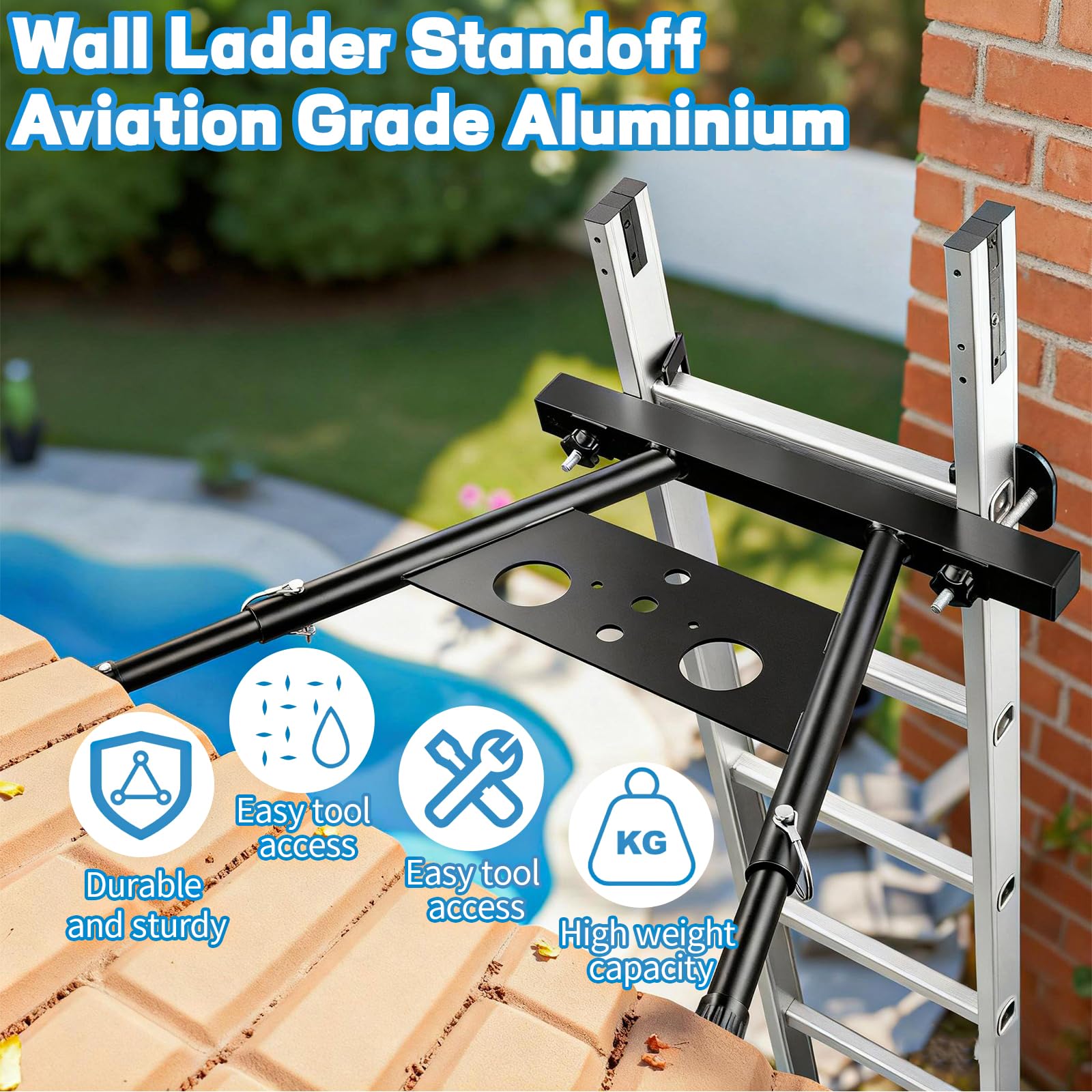 Afoxsos LAF0810F298 Ladder-Access - View #2
