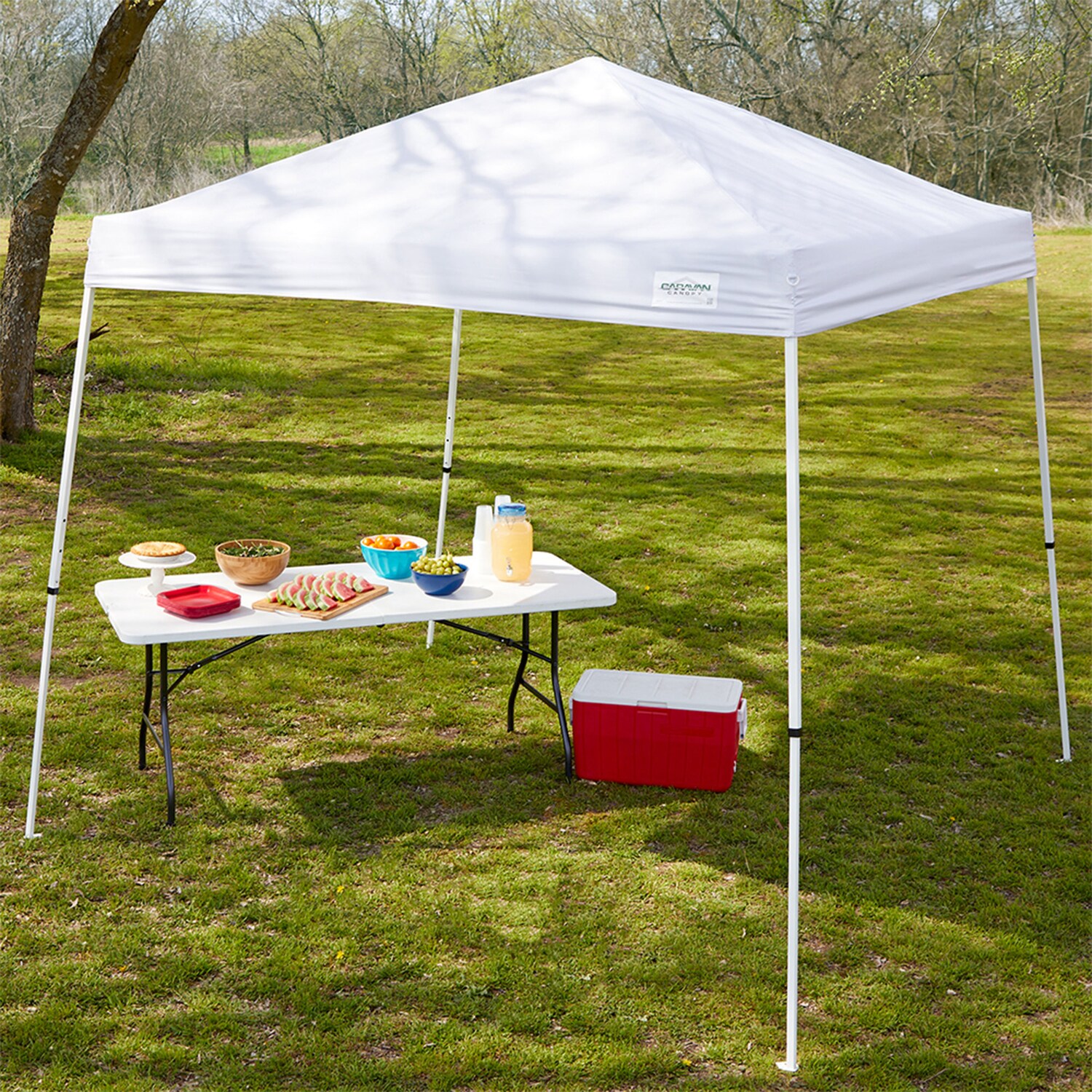Caravan Canopy 90769 Canopies-Sl - View #4
