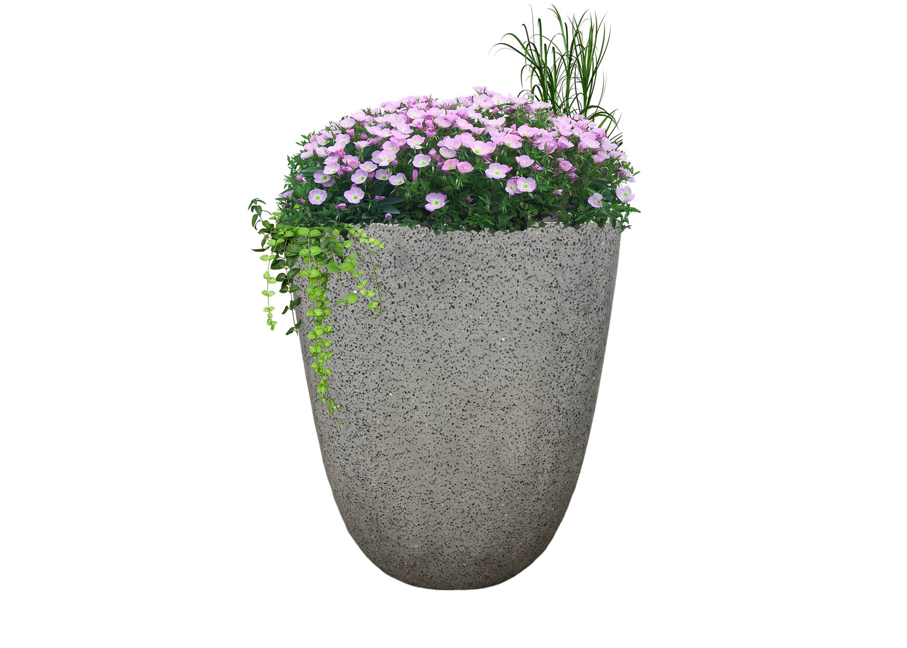 allen + roth GO2025-71 Planter-Window-Box - View #3