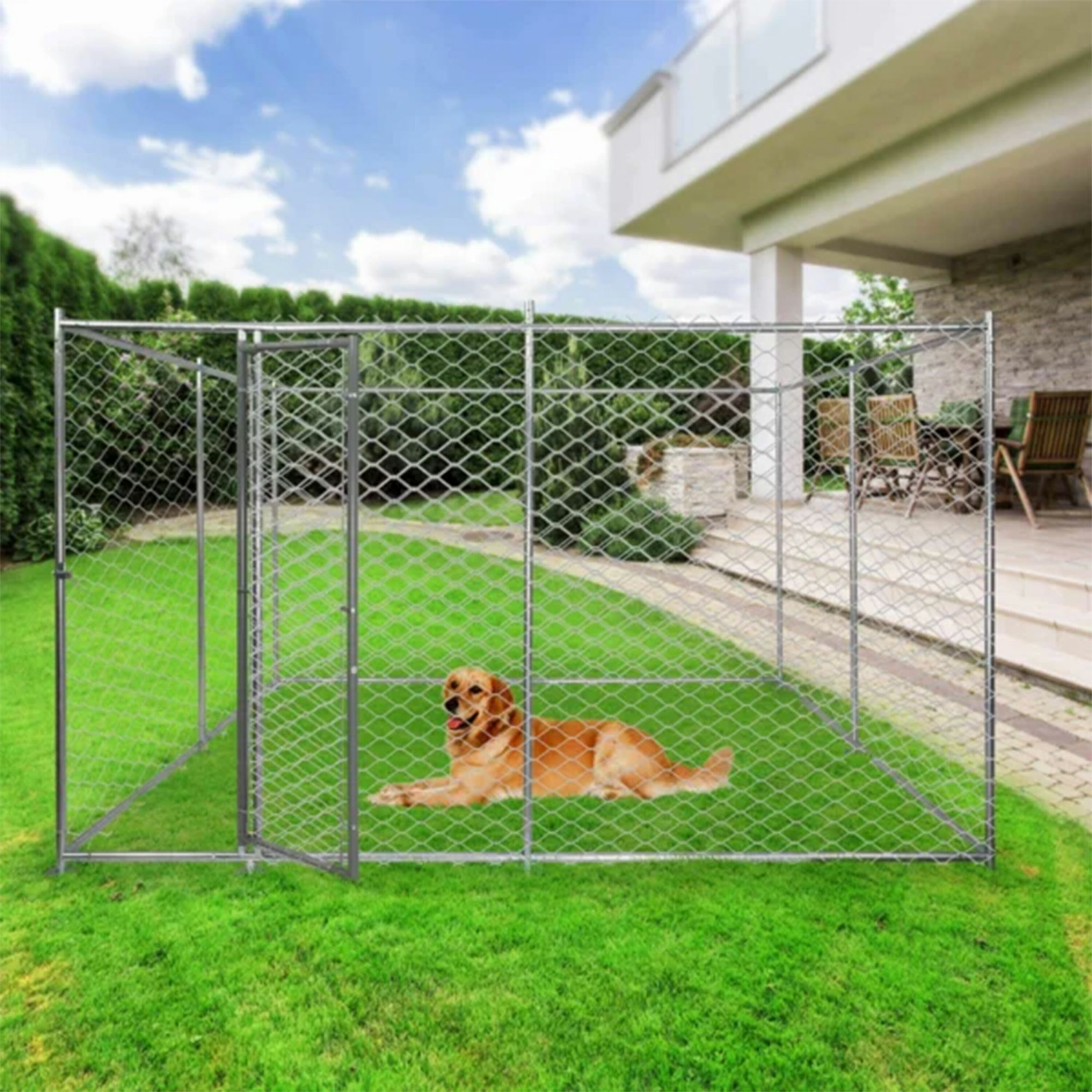 Lucky Dog 90553 Pet-Crates-Carriers - View #4