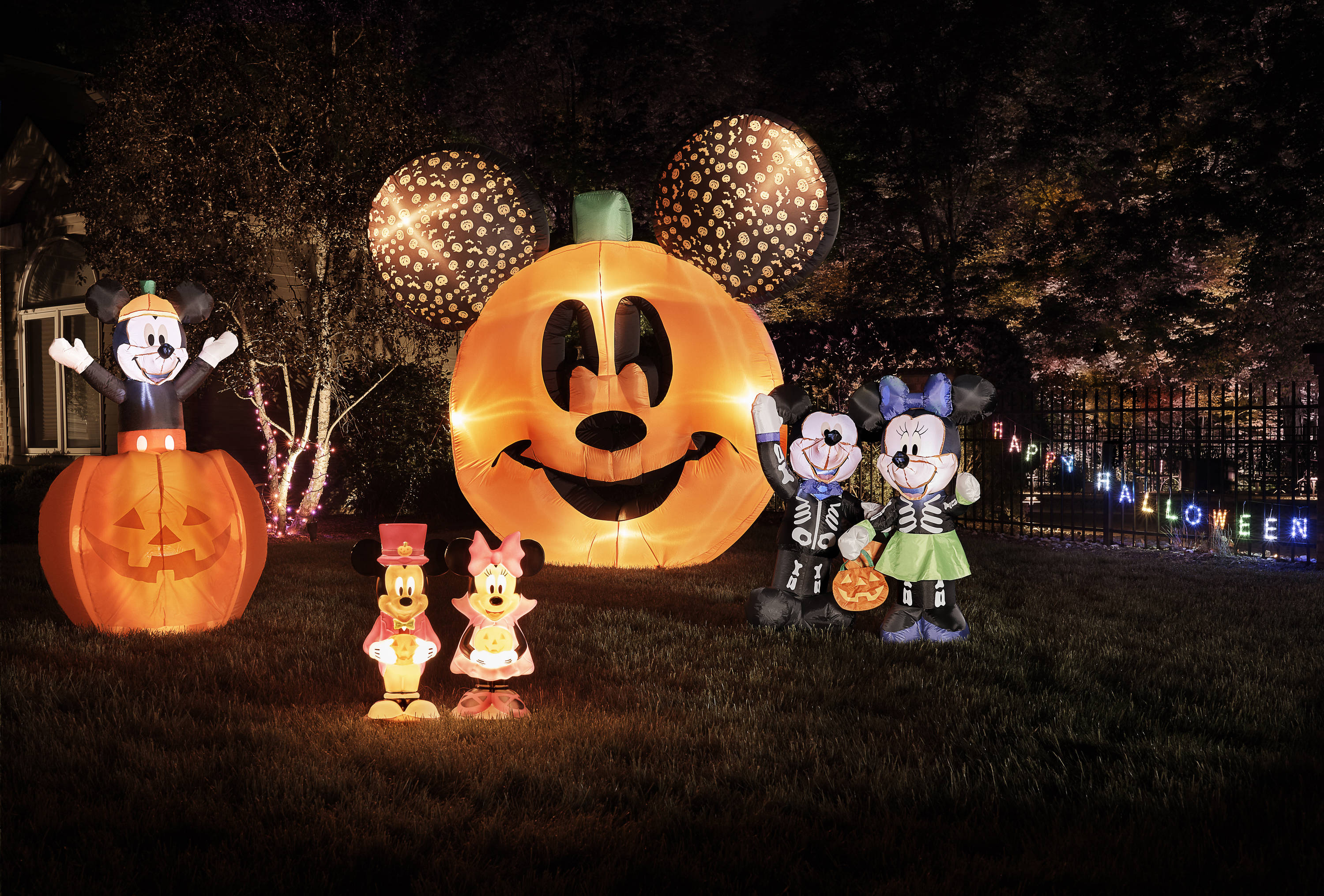 Stoney Disney Inspired Mickey Mouse Ghost or Minnie Mouse Pumpkin