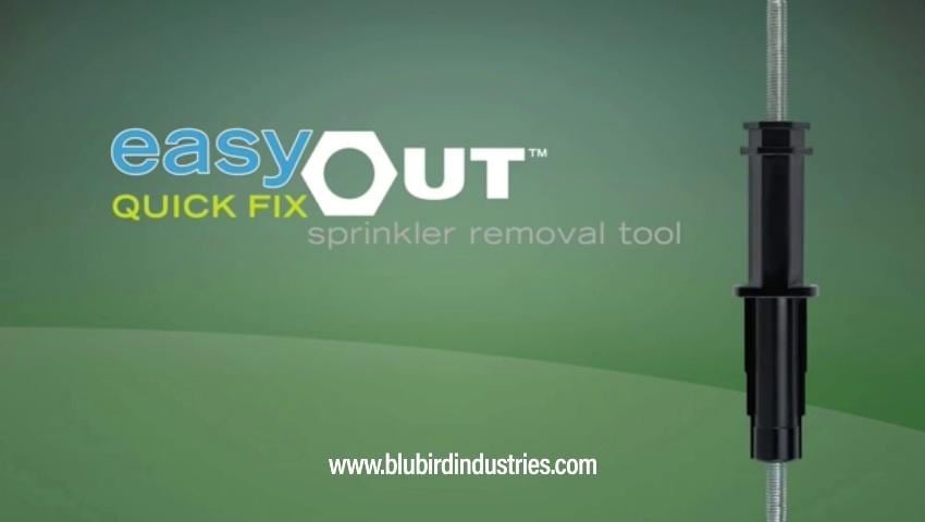 A thumbnail for the video