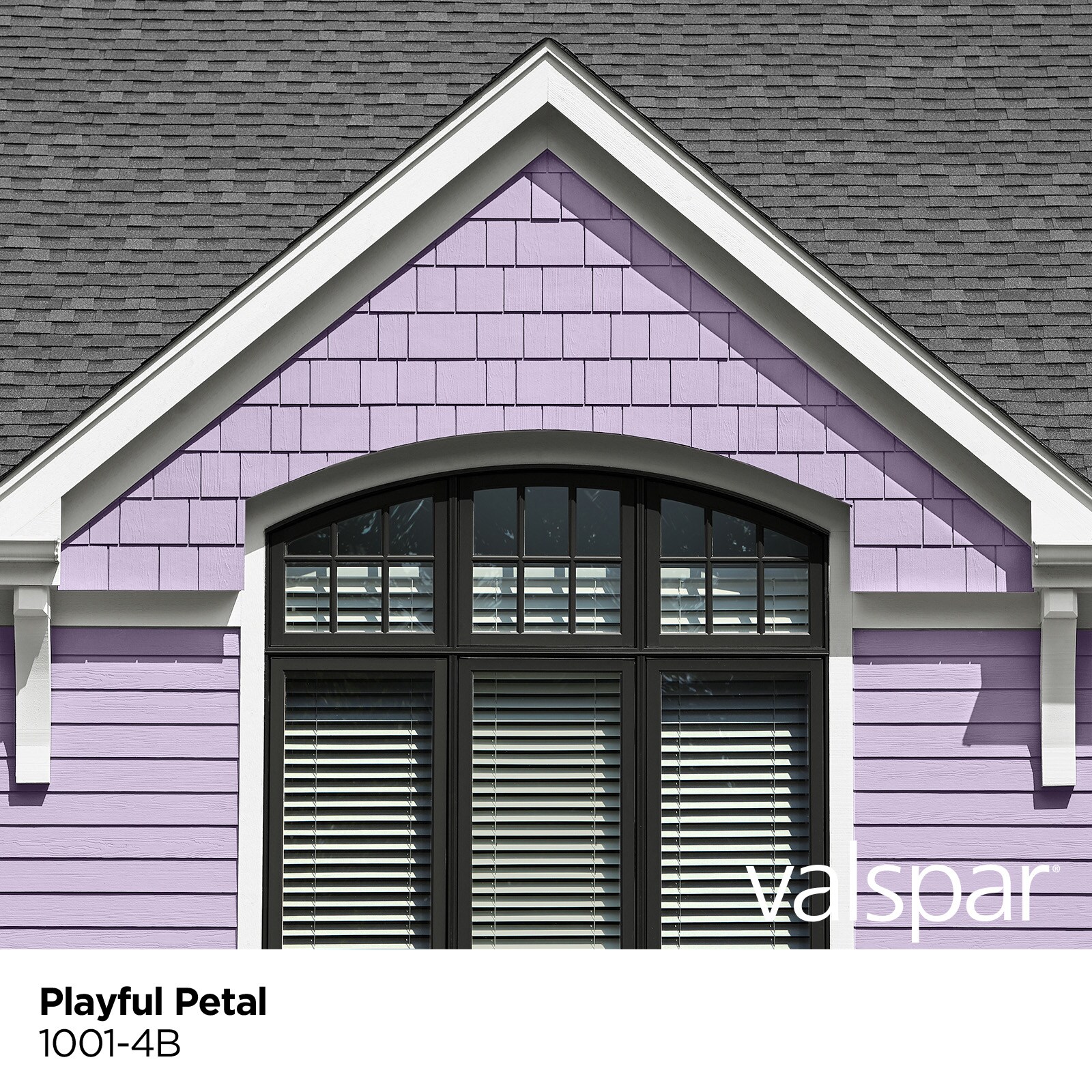 Valspar 1001-4B-146990 Exterior-Paints - View #3