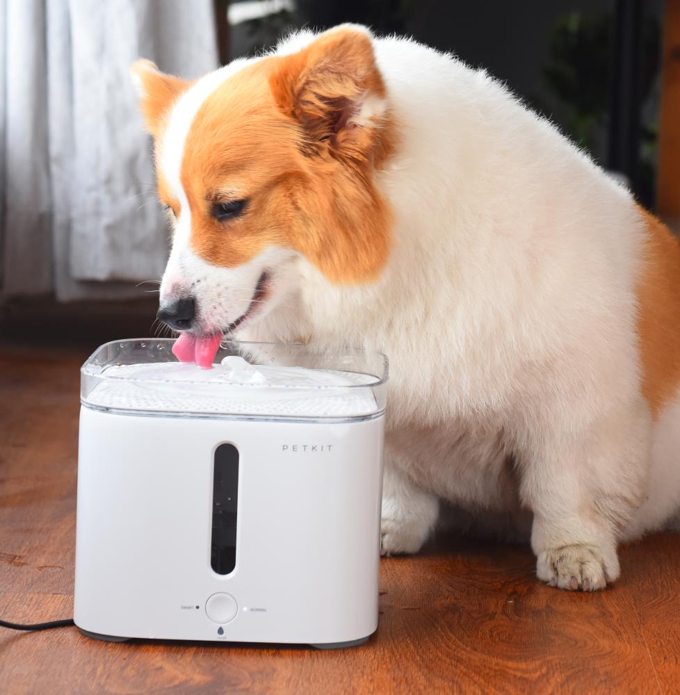 PETKIT TKWT1WH Fountains-Waterers - View #8