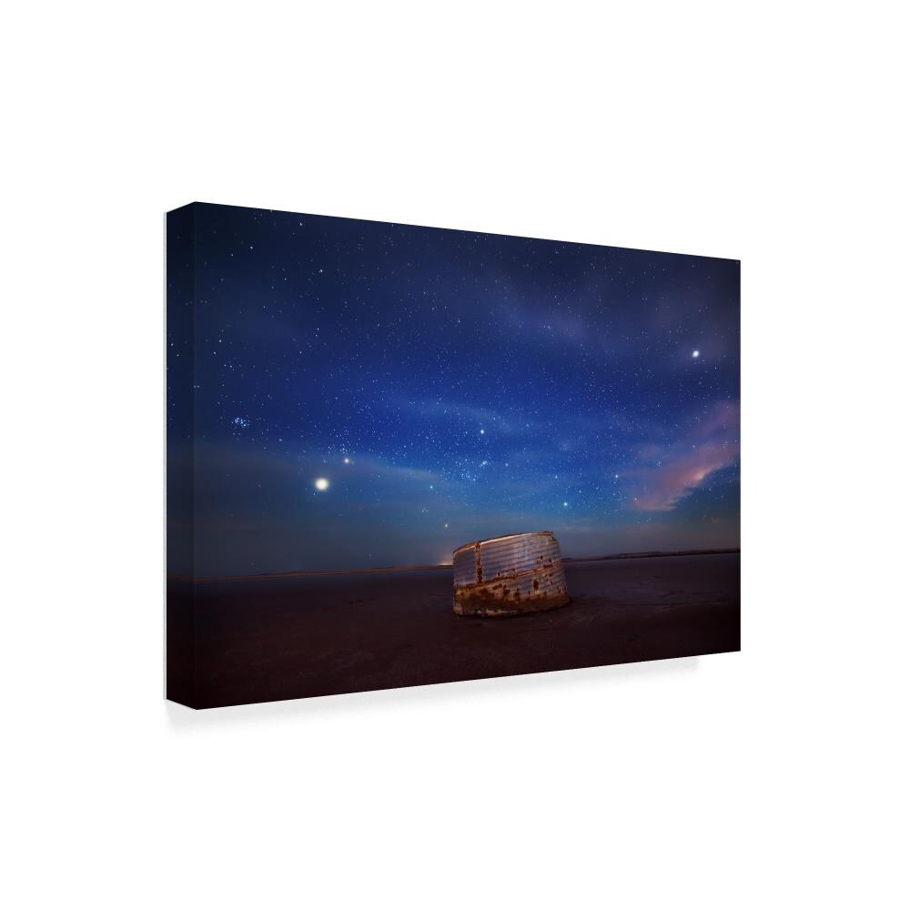 Trademark Fine Art ALI29632-C3047GG Wall-Art - View #2