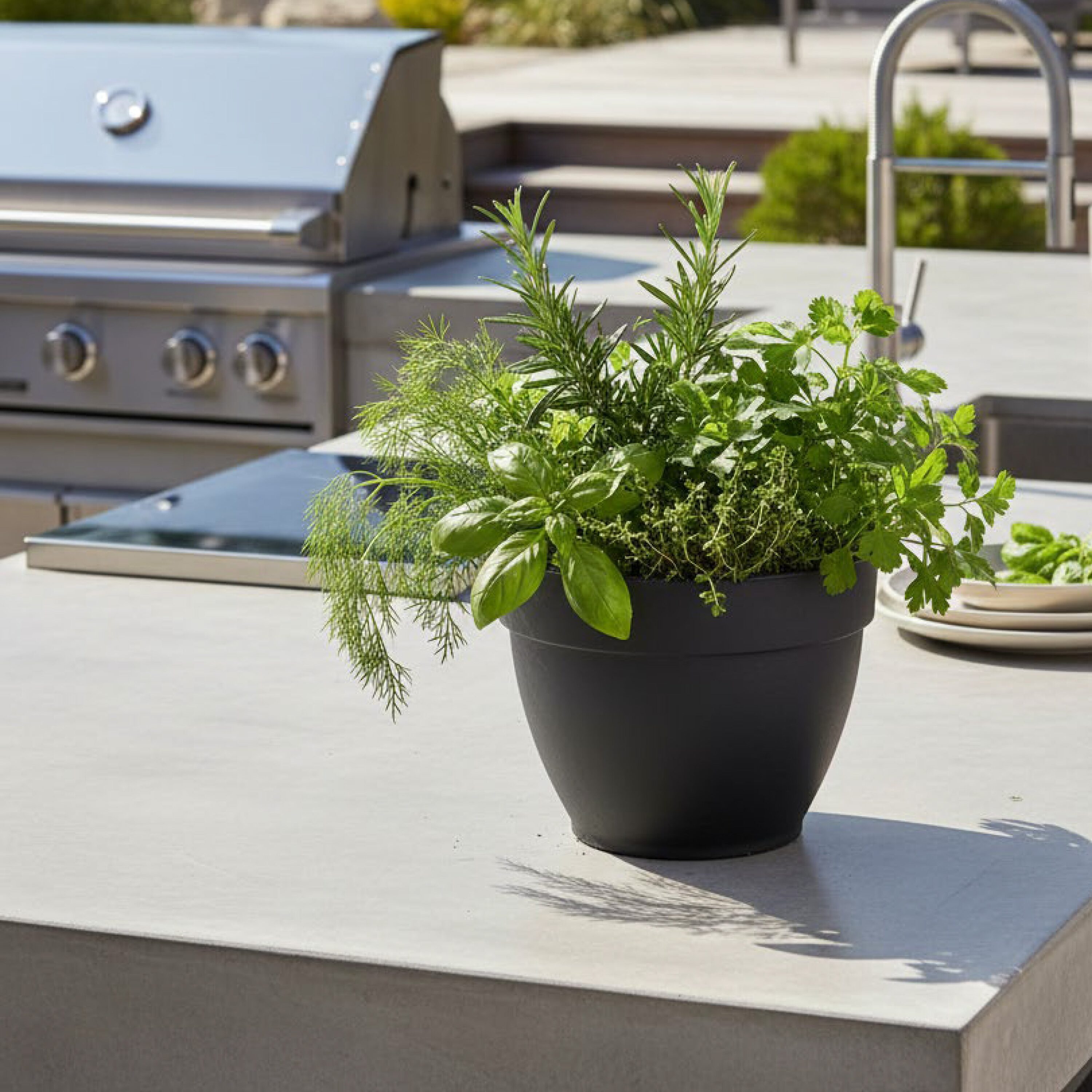 Deroma 9HQ1ZSZ242 Planter-Window-Box - View #4
