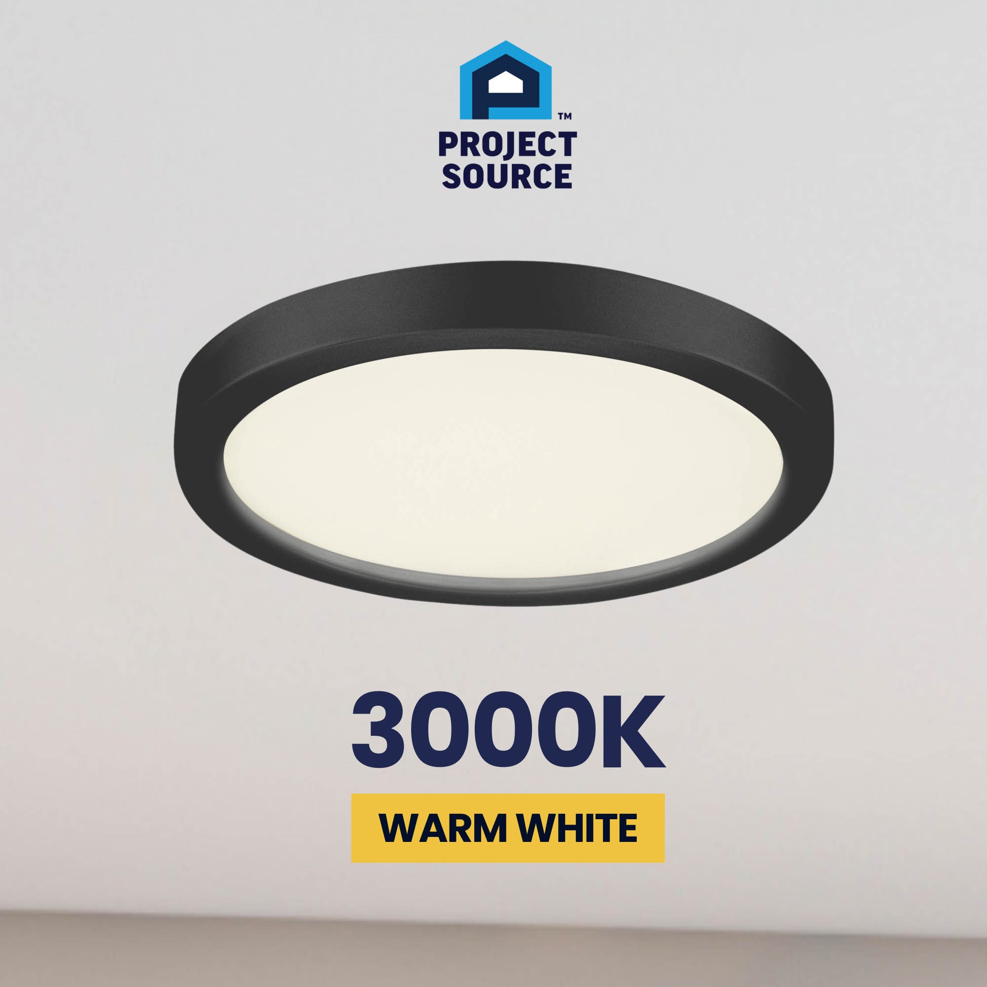 Project Source 43553 flushmounts - View #11