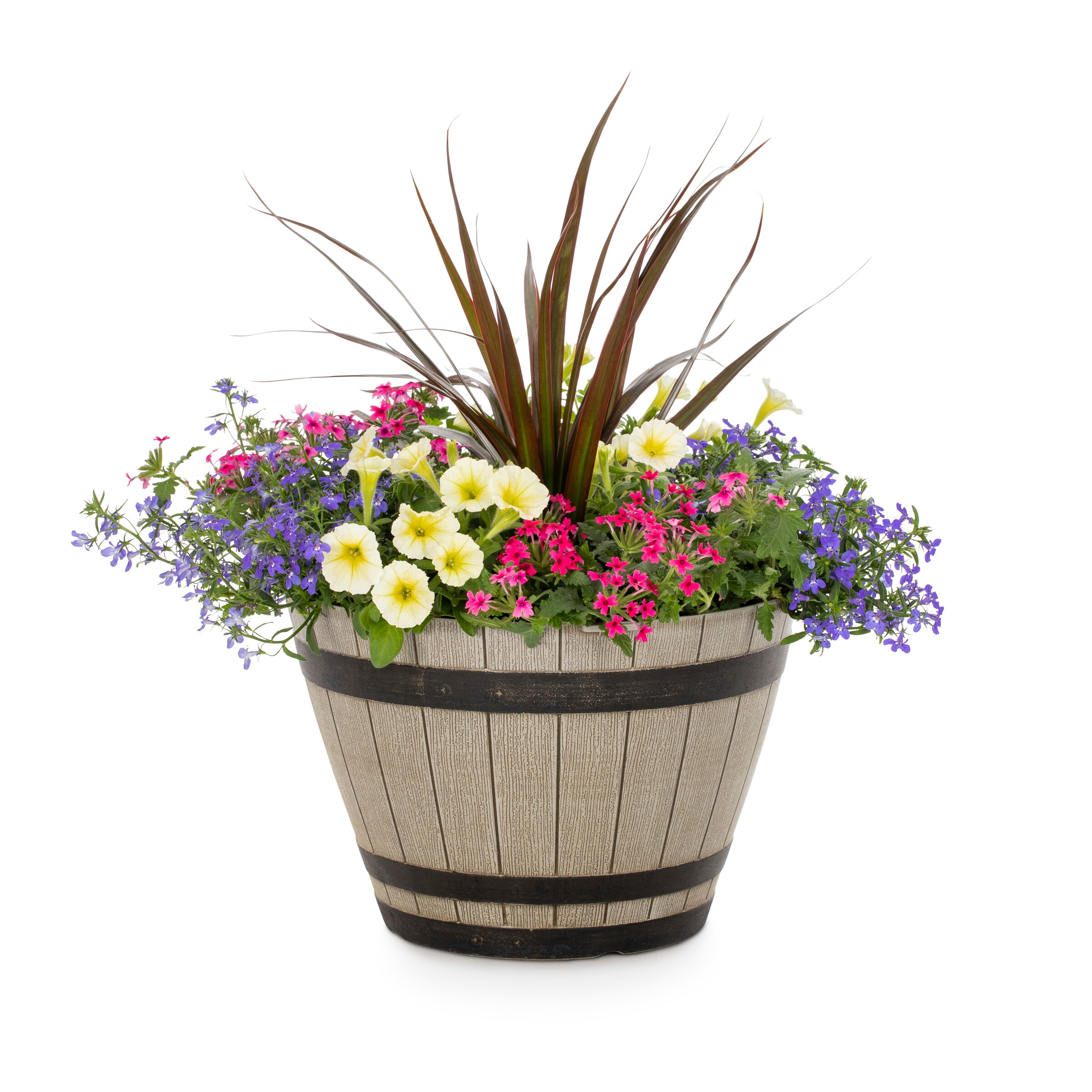 Lowe's 1527928 annuals - View #2